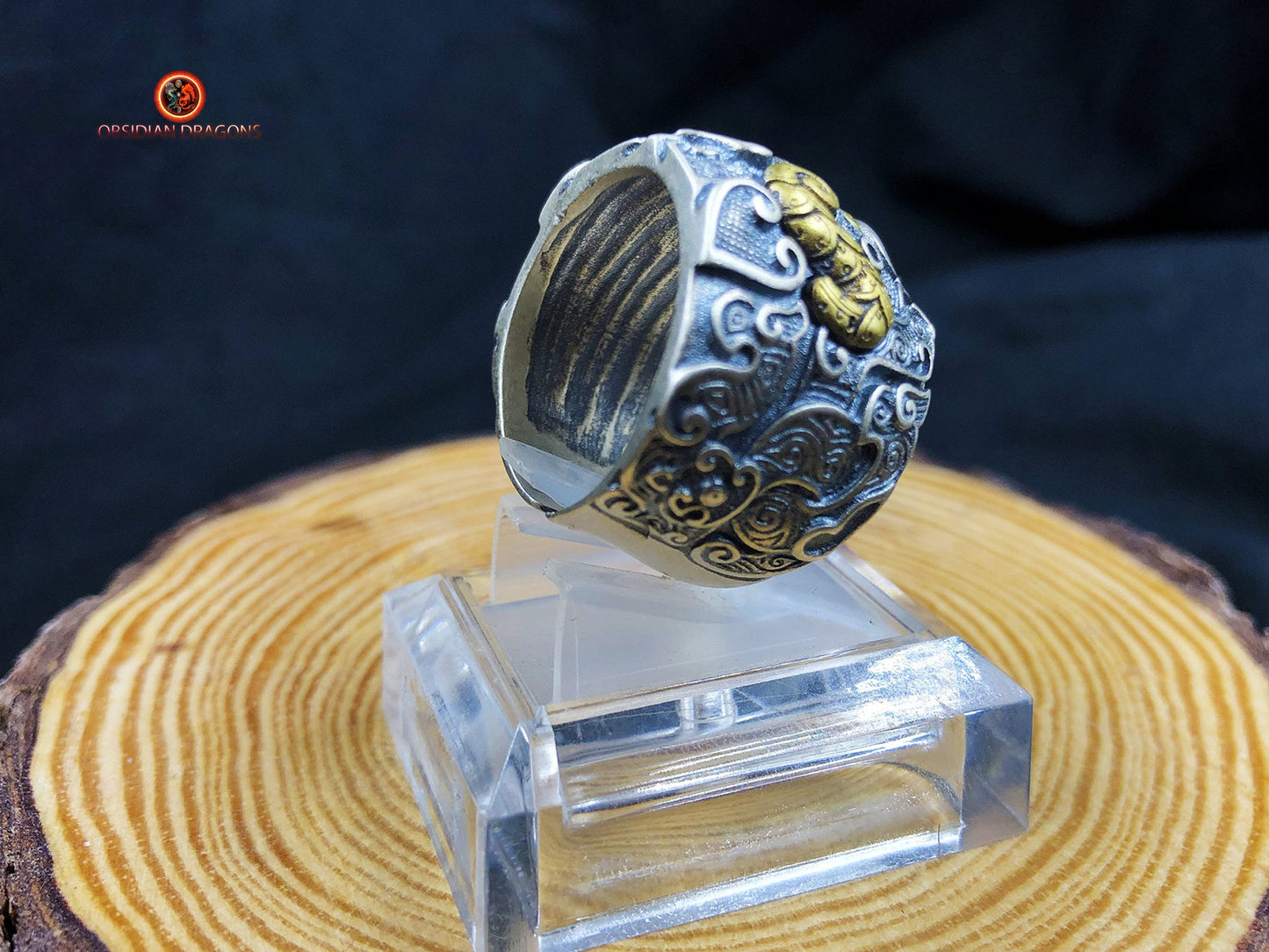 Bague Taotie de protection - Forces cosmiques