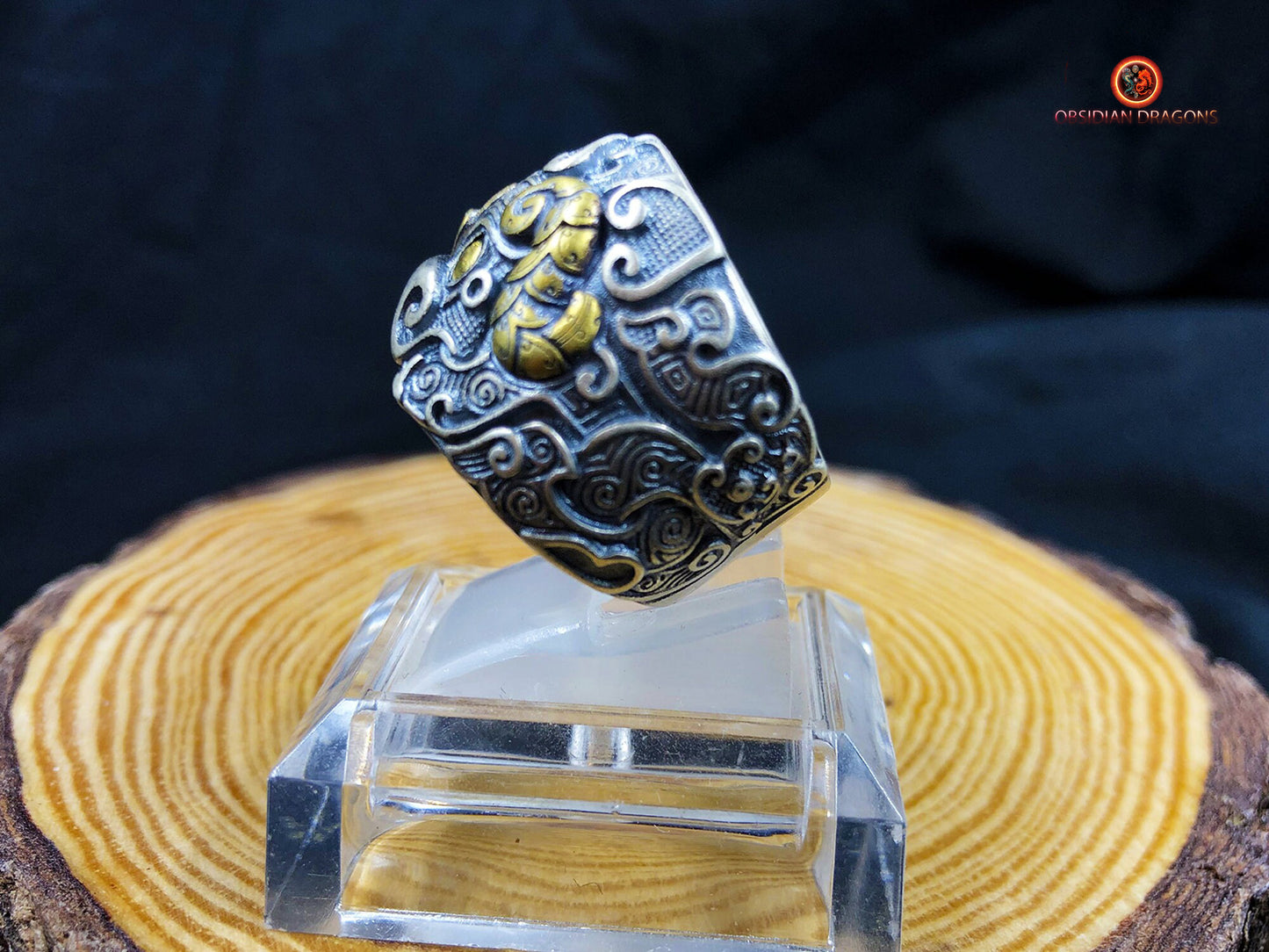 Bague Taotie de protection - Forces cosmiques