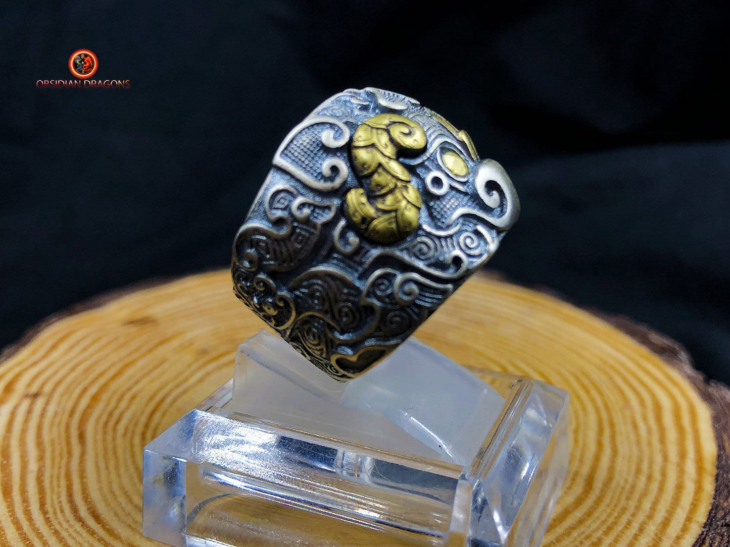 Bague Taotie de protection - Forces cosmiques