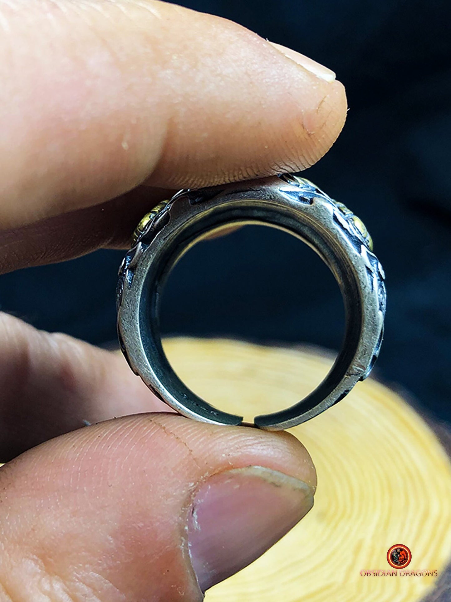 Bague Taotie de protection - Forces cosmiques