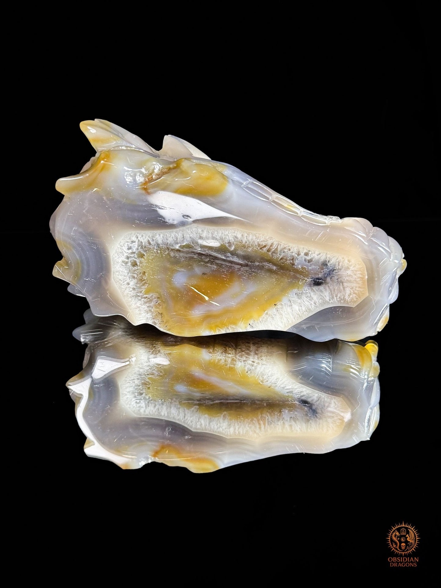 Crâne de dragon en géode de quartz & agate – Ancrage