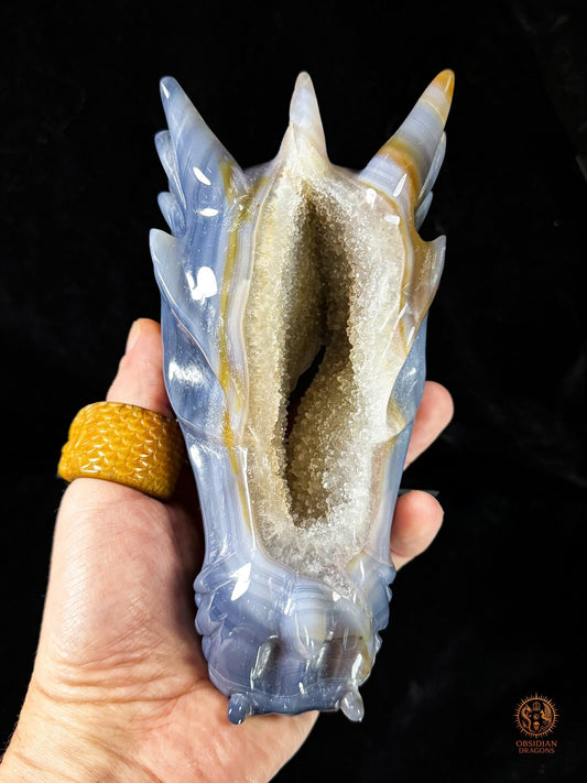 Crâne de dragon en géode de quartz & agate – Axe intérieur | obsidian dragons