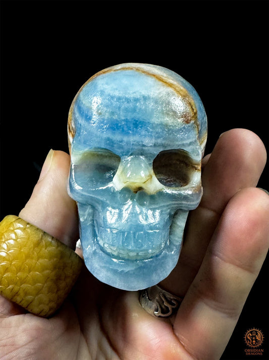 Crâne en agate bleue naturelle de 7,3 cm présenté de face dans une main, montrant ses bandes bleues et blanches - Obsidian Dragons