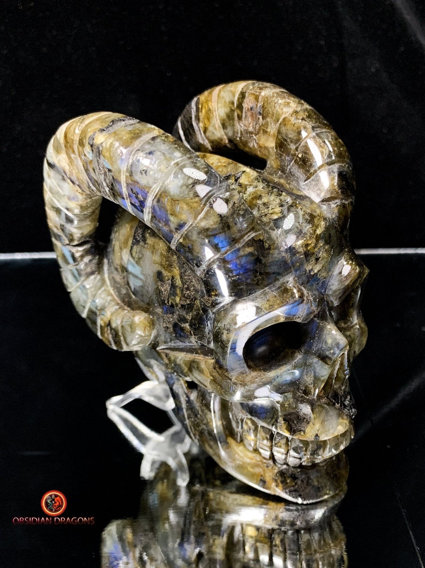 Crâne de Cristal Cornu en Labradorite | obsidian dragons