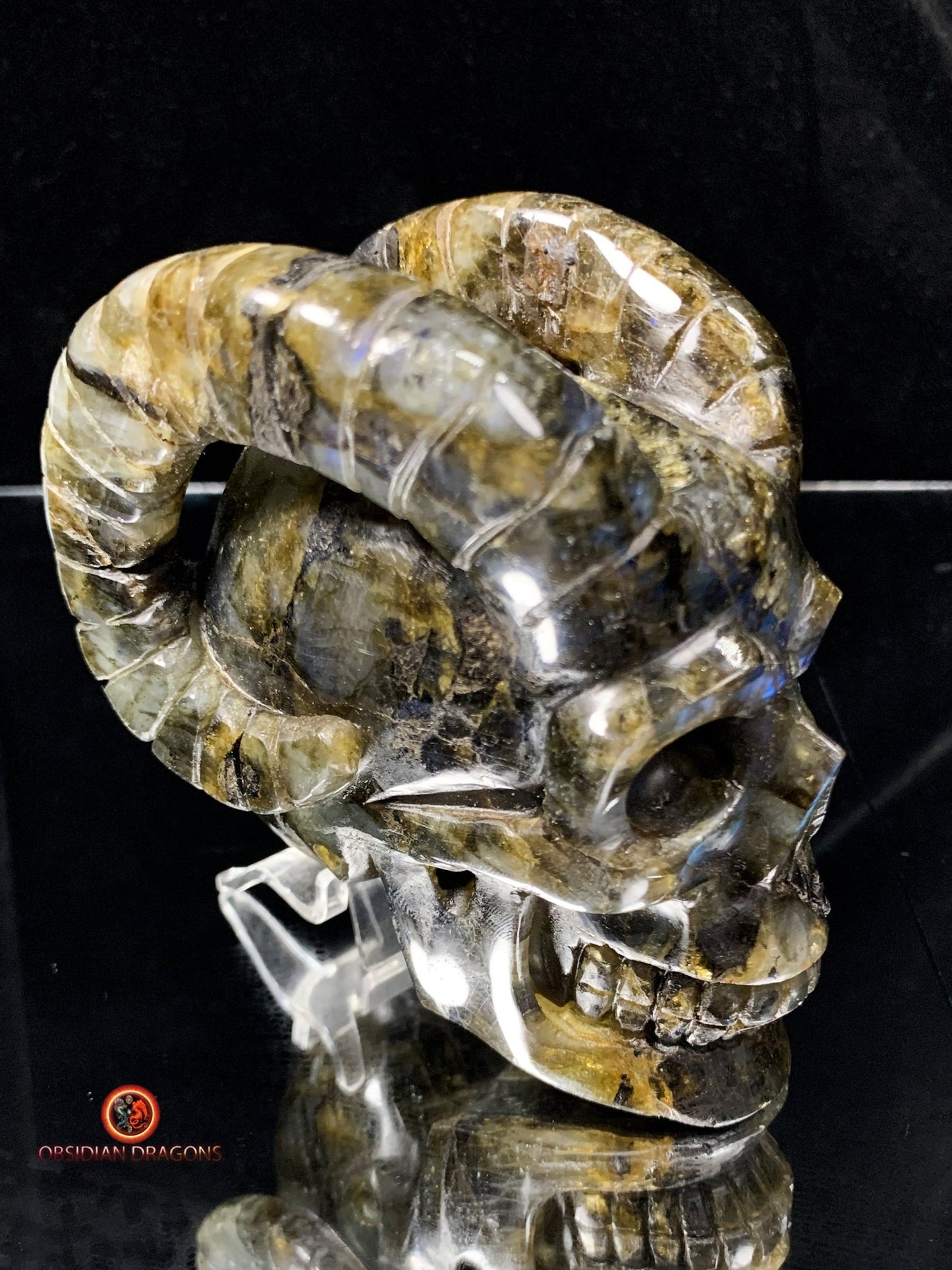 Crâne de Cristal Cornu en Labradorite | obsidian dragons