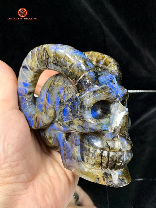 Crâne de Cristal Cornu en Labradorite | obsidian dragons