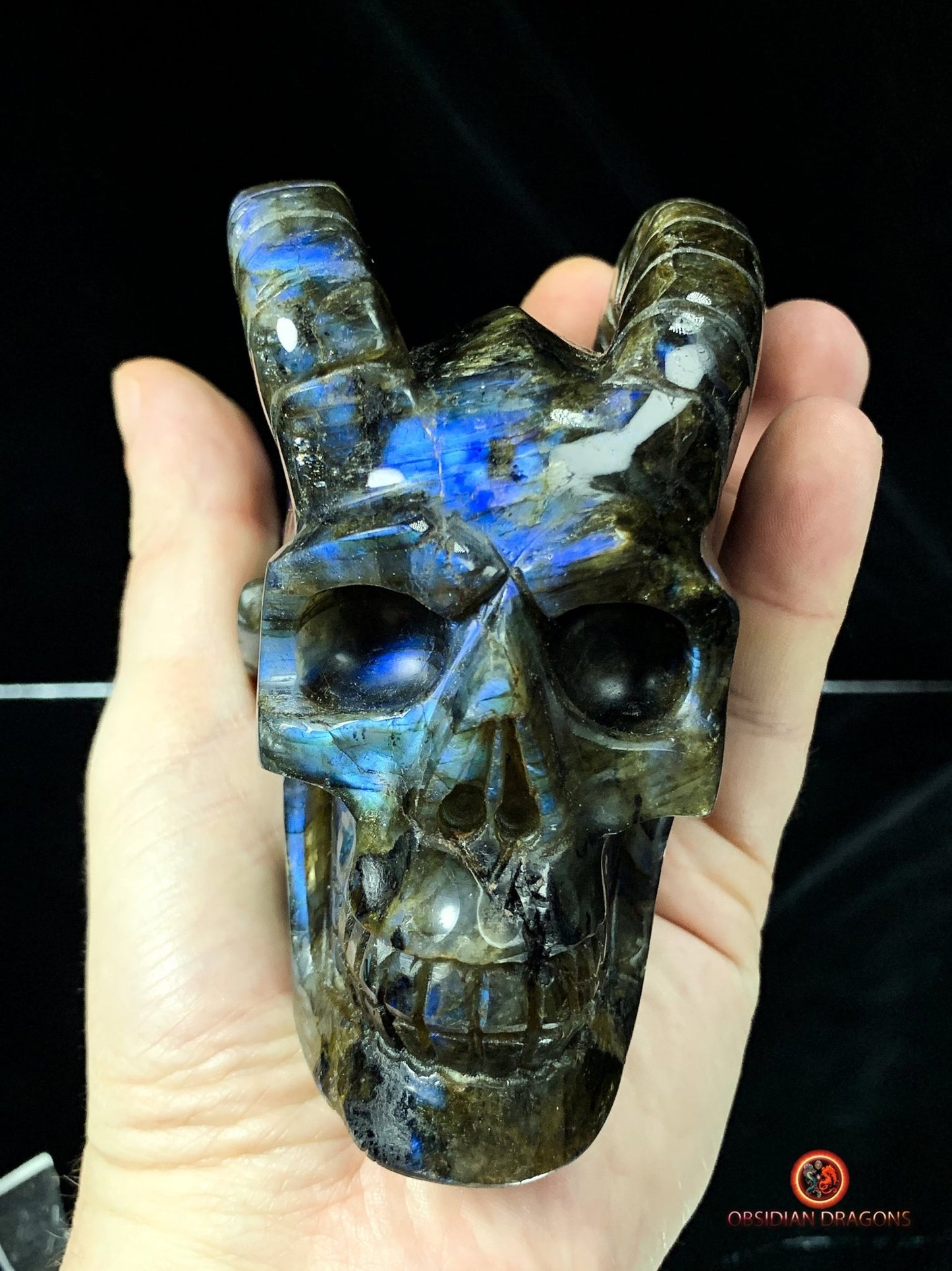 Crâne de Cristal Cornu en Labradorite | obsidian dragons