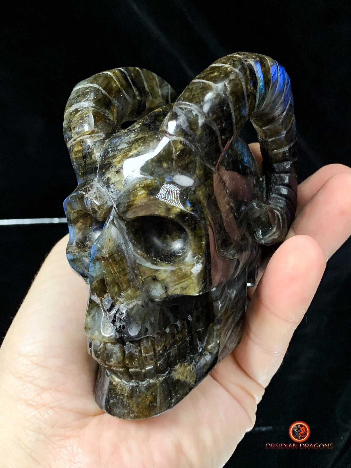Crâne de Cristal Cornu en Labradorite | obsidian dragons