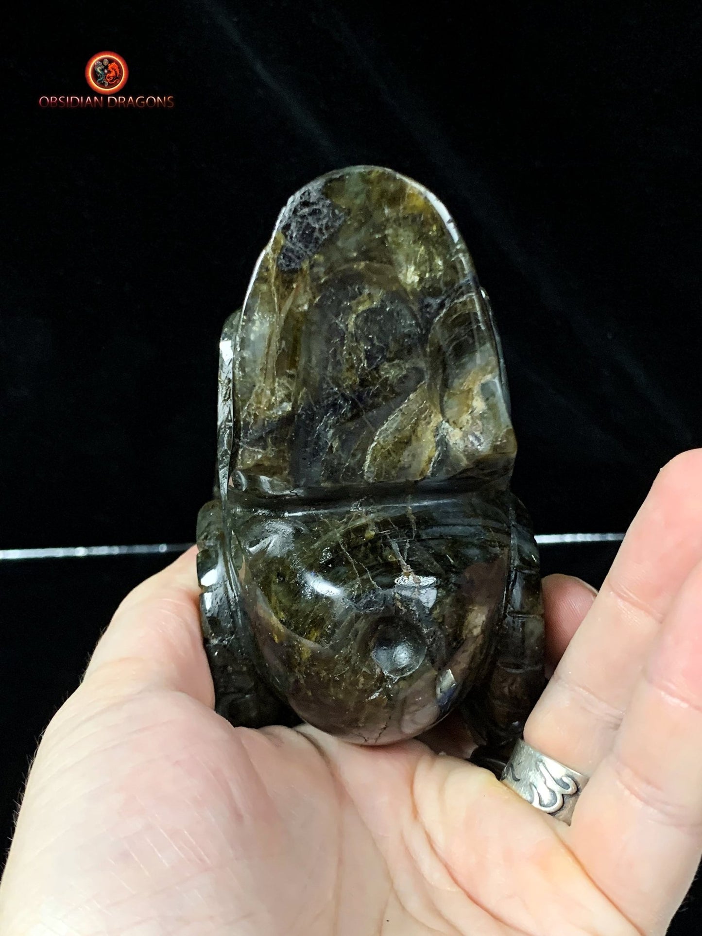 Crâne de Cristal Cornu en Labradorite | obsidian dragons