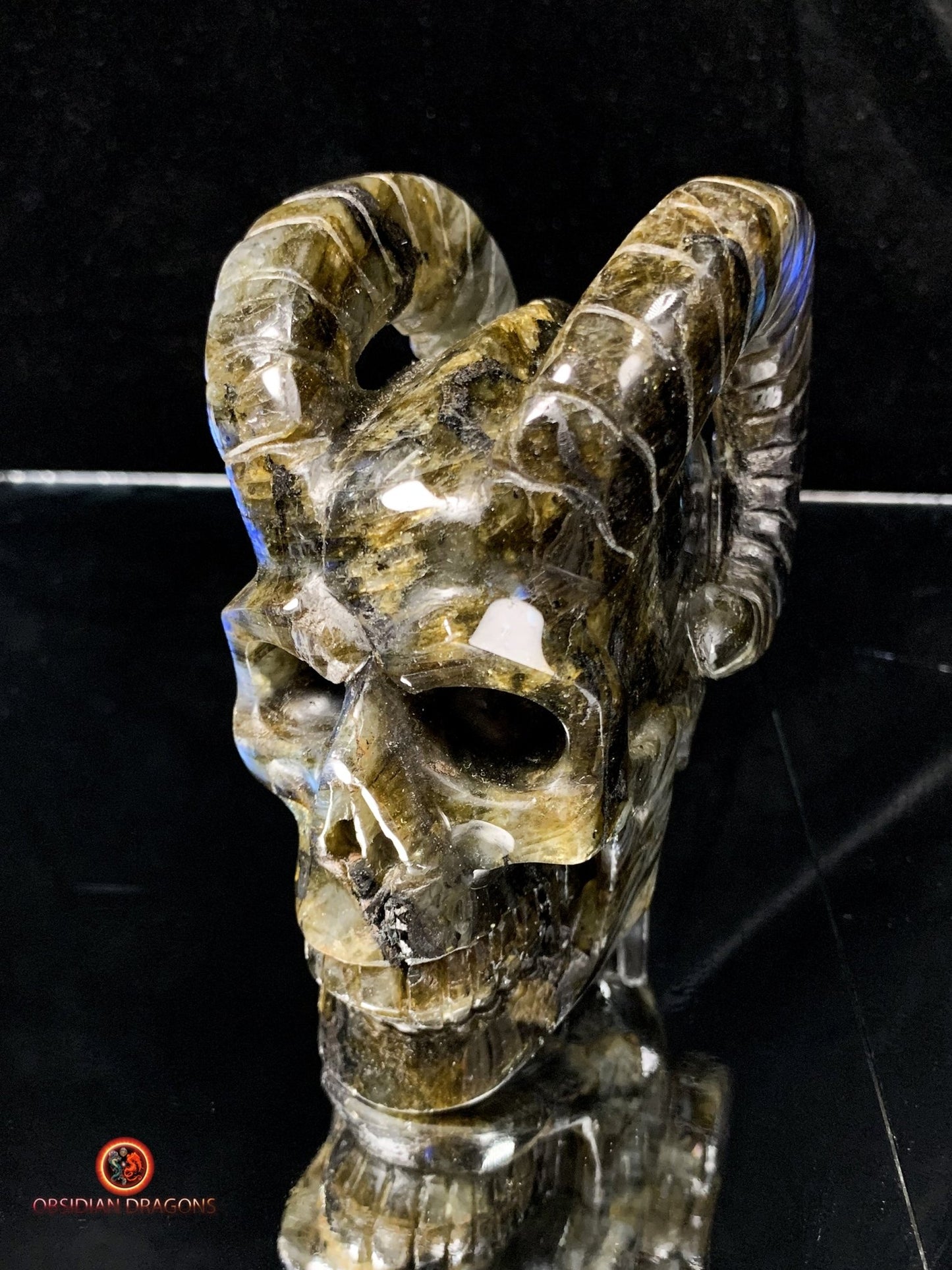 Crâne de Cristal Cornu en Labradorite | obsidian dragons