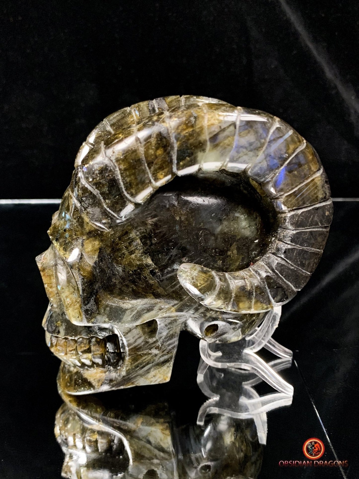 Crâne de Cristal Cornu en Labradorite | obsidian dragons
