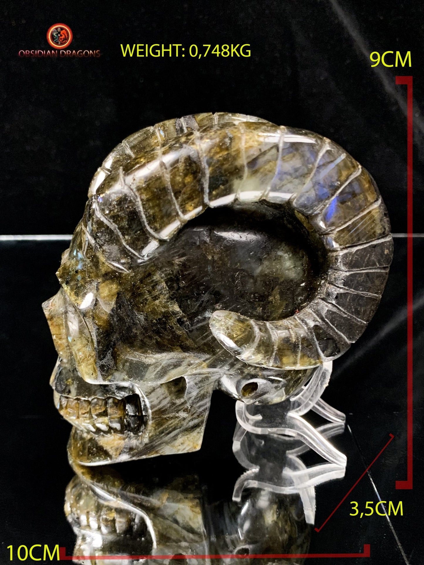 Crâne de Cristal Cornu en Labradorite | obsidian dragons