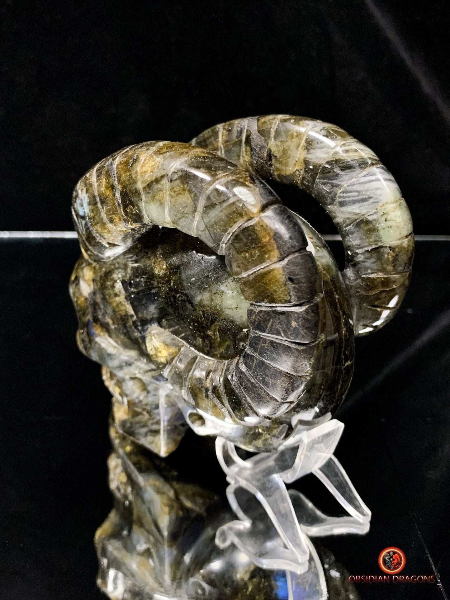 Crâne de Cristal Cornu en Labradorite | obsidian dragons