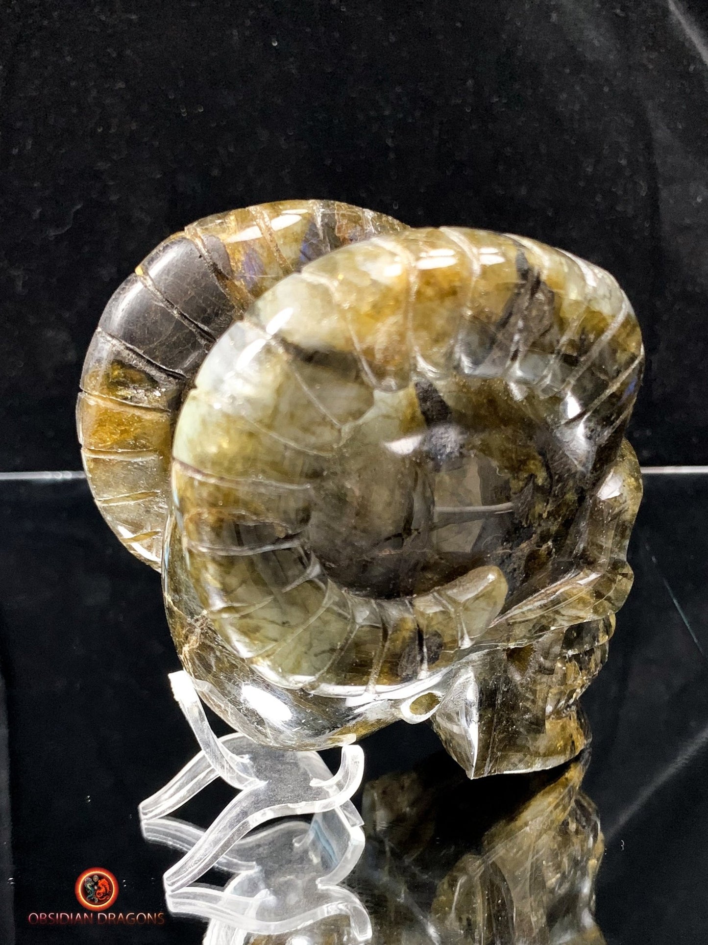 Crâne de Cristal Cornu en Labradorite | obsidian dragons