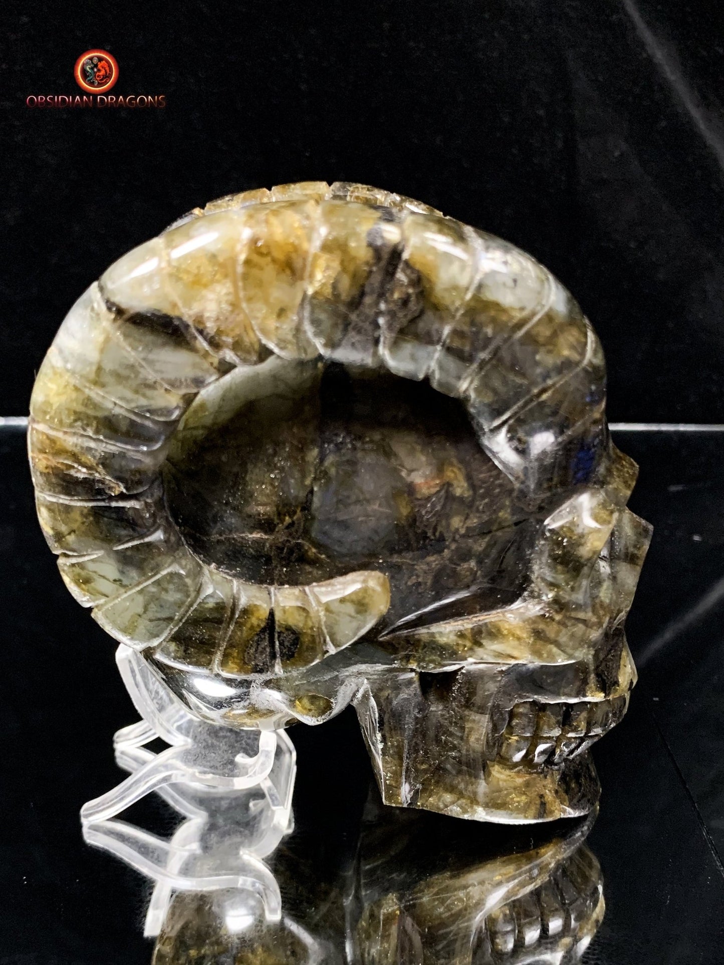 Crâne de Cristal Cornu en Labradorite | obsidian dragons