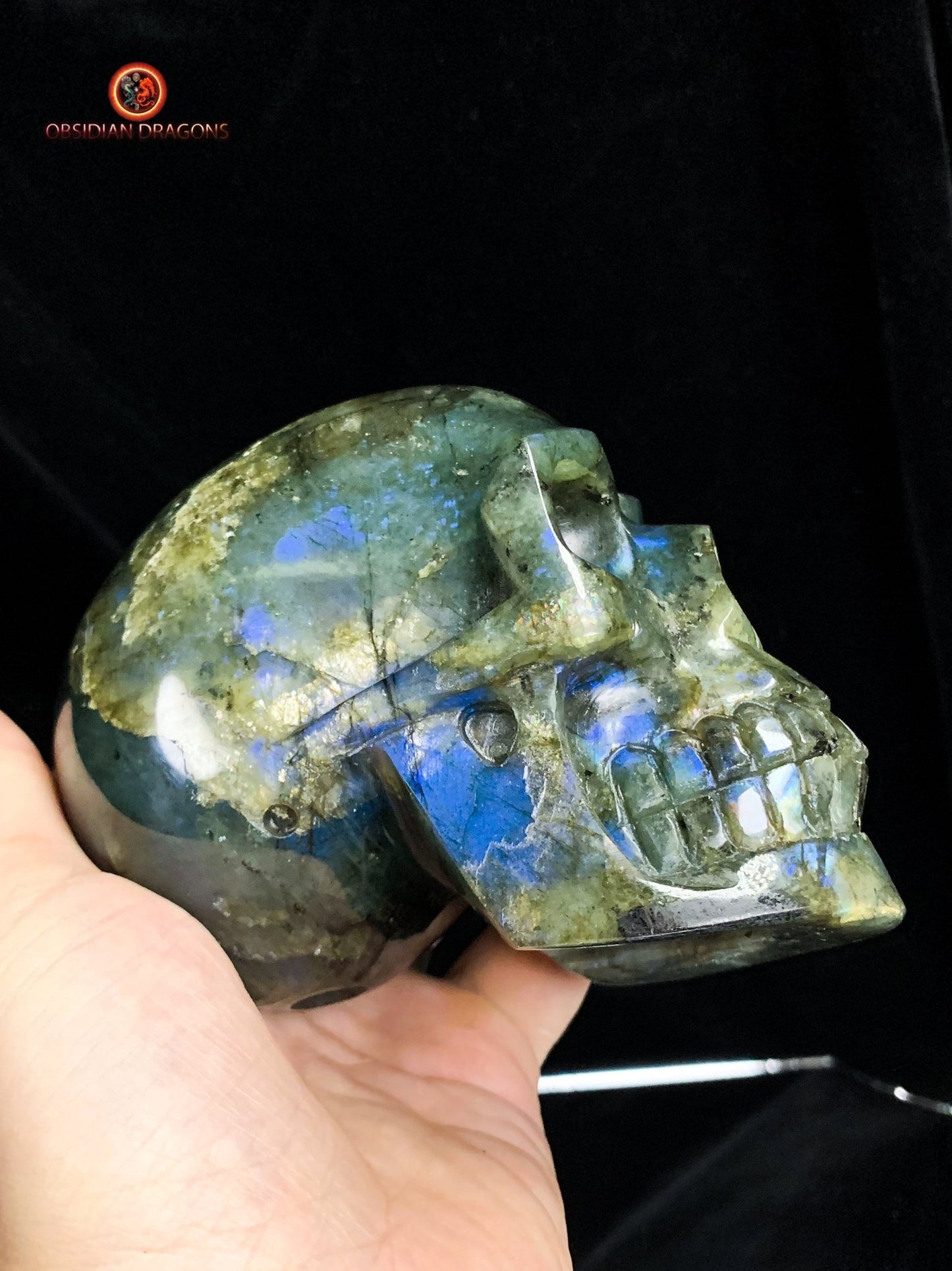 Crâne de cristal en labradorite naturelle - artisanal | obsidian dragons