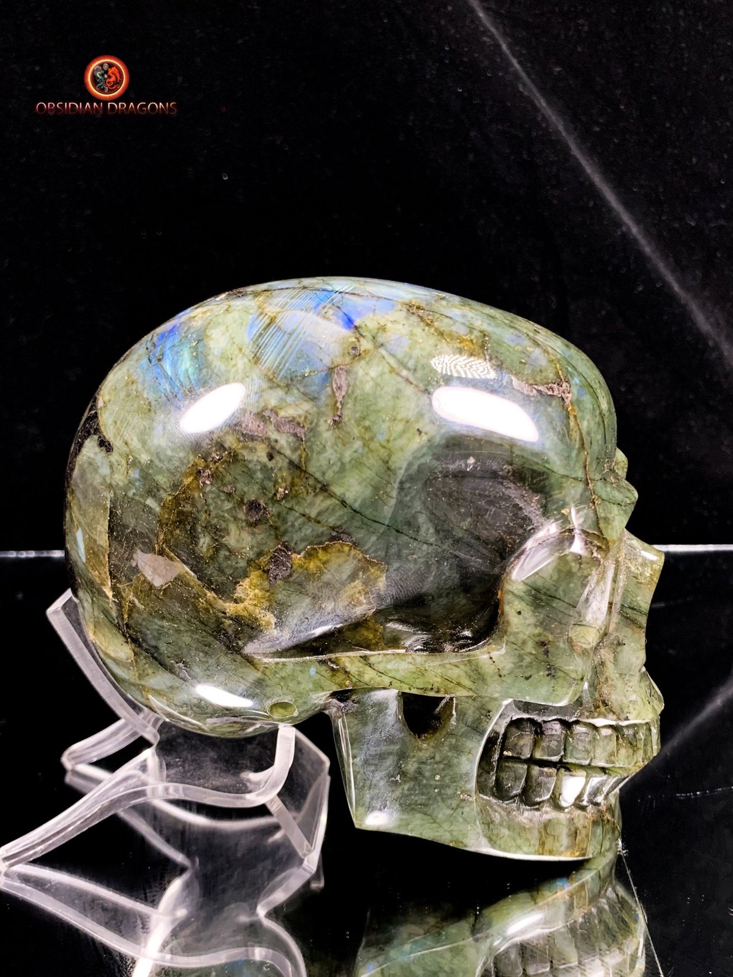 Crâne de Cristal en Labradorite - Unique et Naturel | obsidian dragons