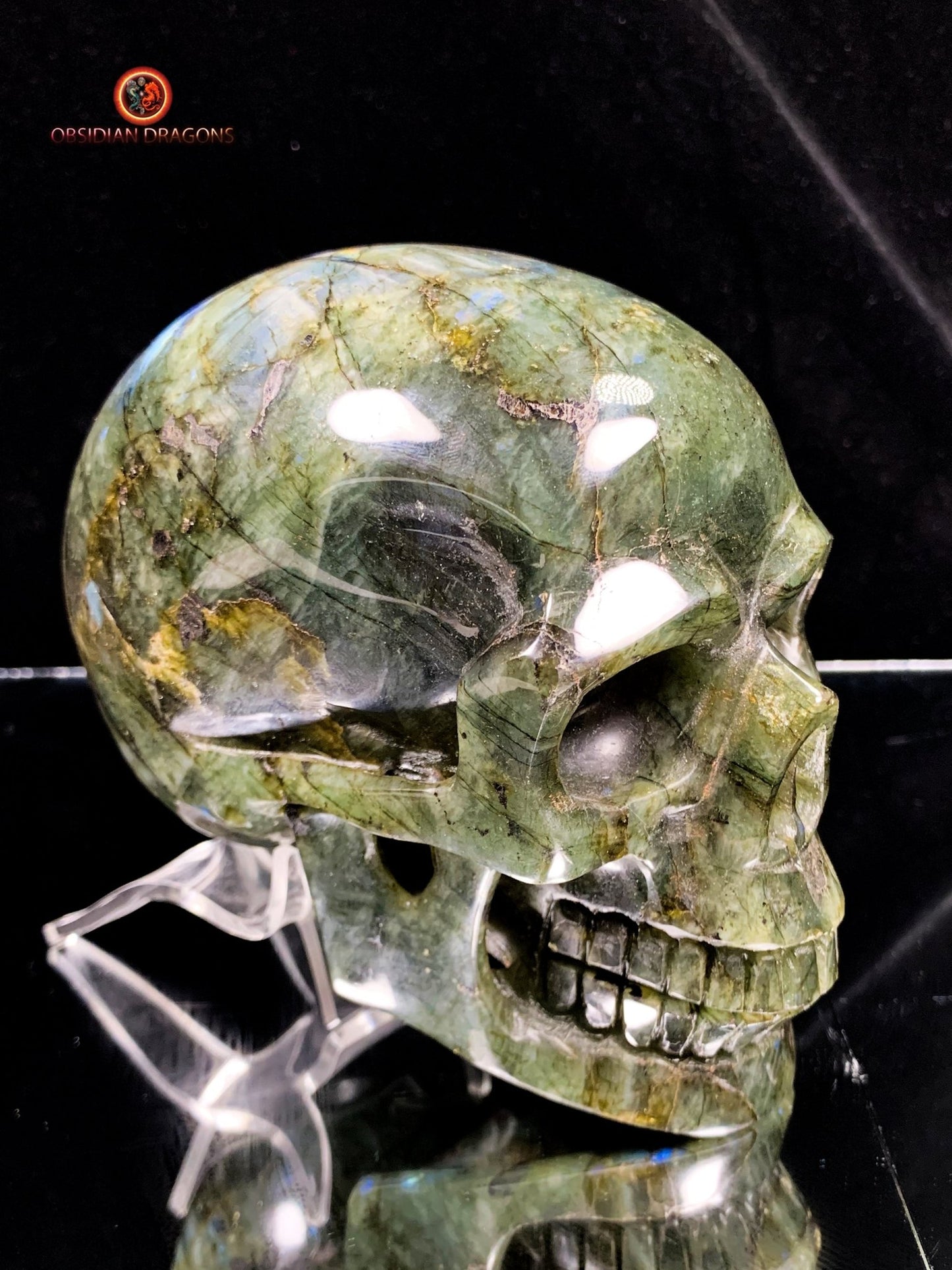 Crâne de Cristal en Labradorite - Unique et Naturel | obsidian dragons