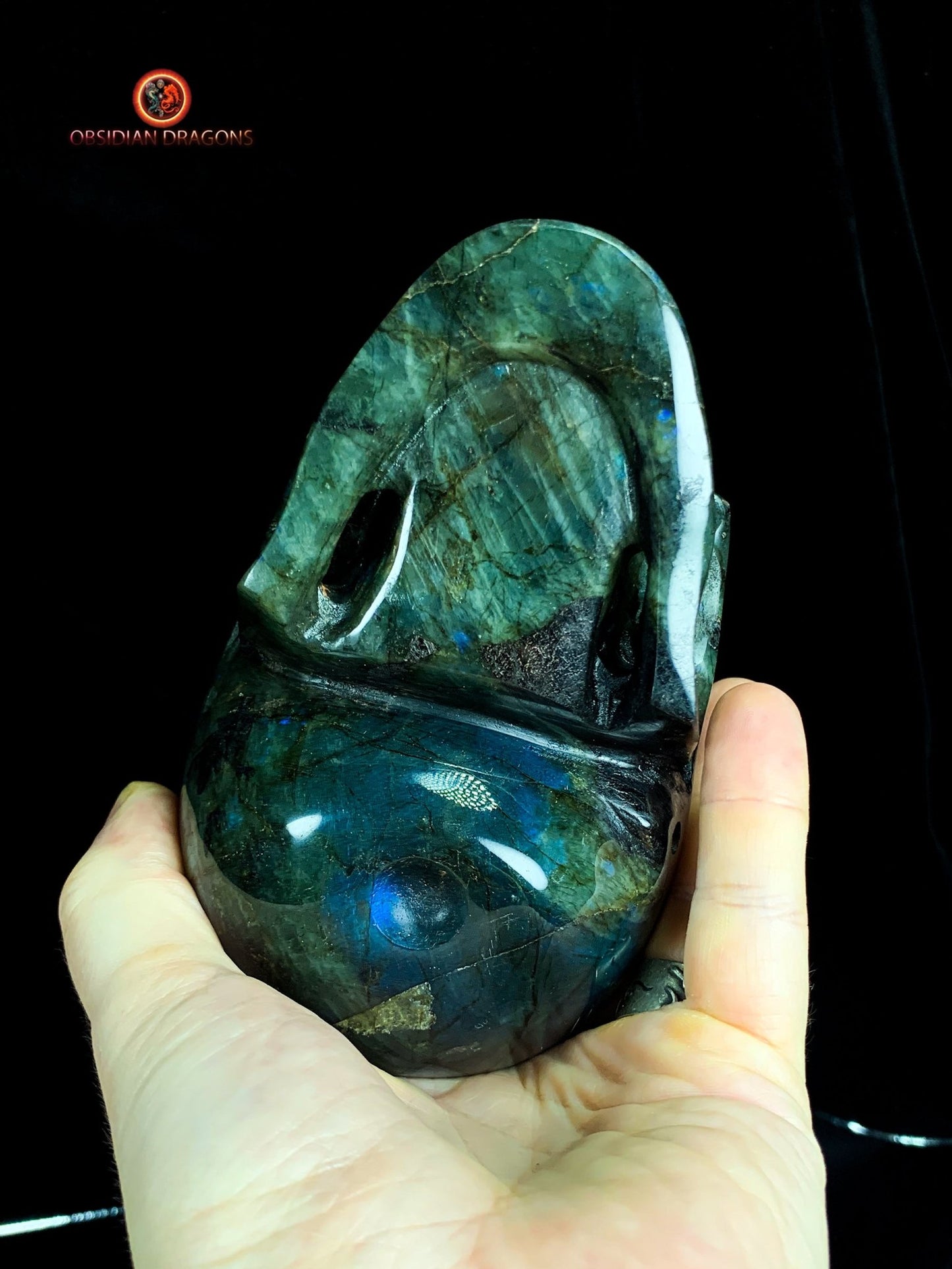 Crâne de Cristal en Labradorite - Unique et Naturel | obsidian dragons