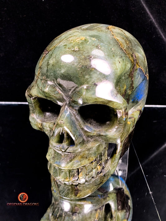 Crâne de Cristal en Labradorite - Unique et Naturel | obsidian dragons