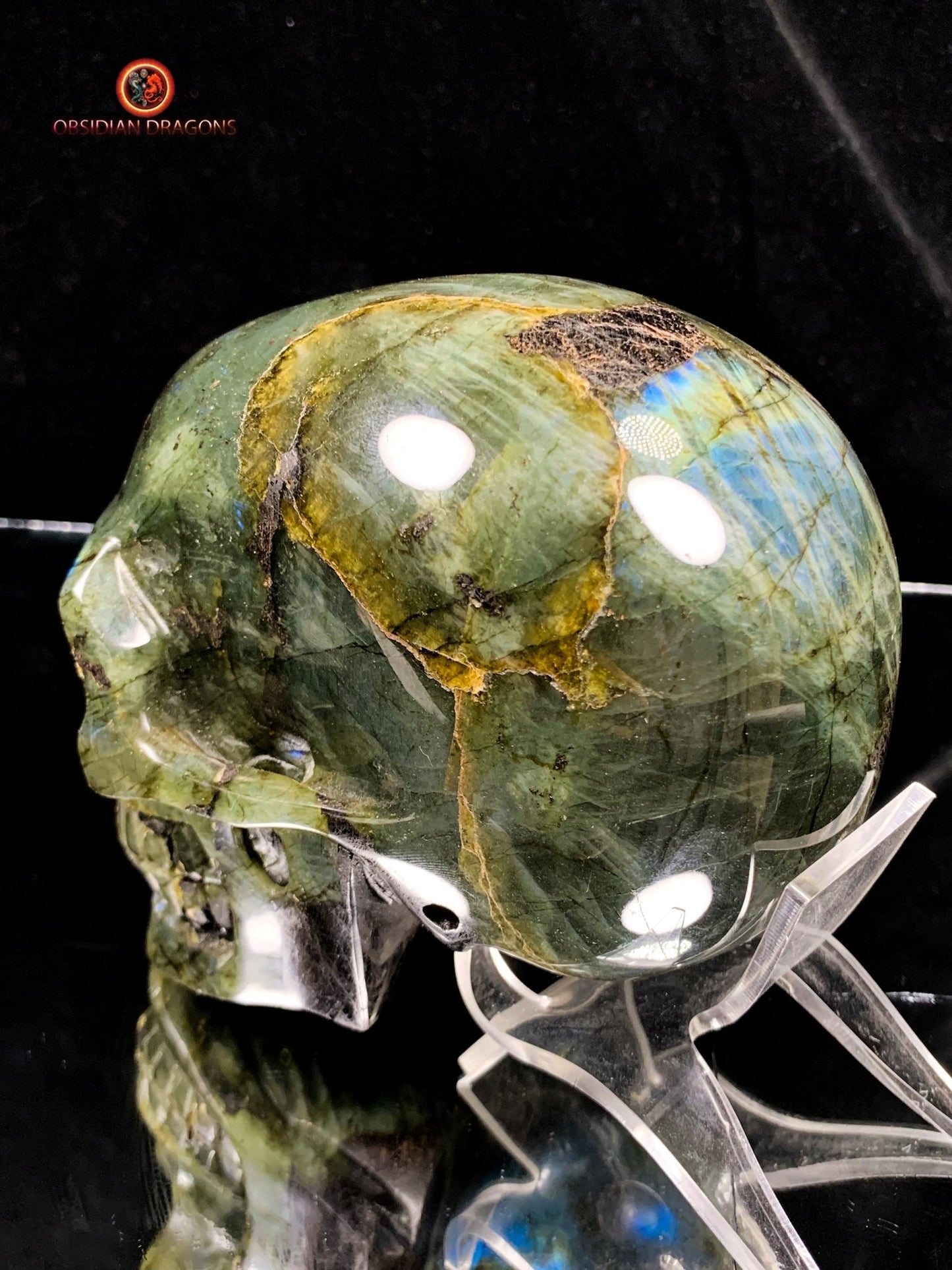Crâne de Cristal en Labradorite - Unique et Naturel | obsidian dragons