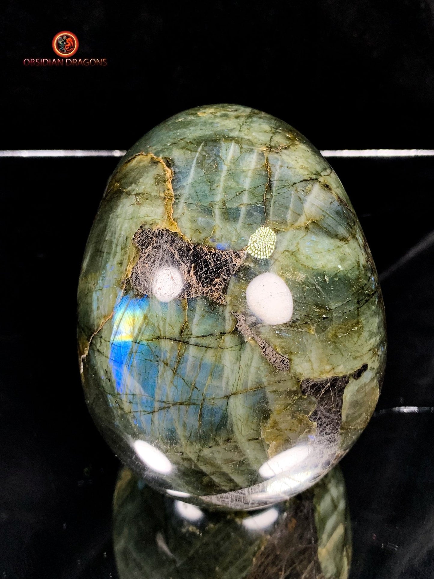 Crâne de Cristal en Labradorite - Unique et Naturel | obsidian dragons