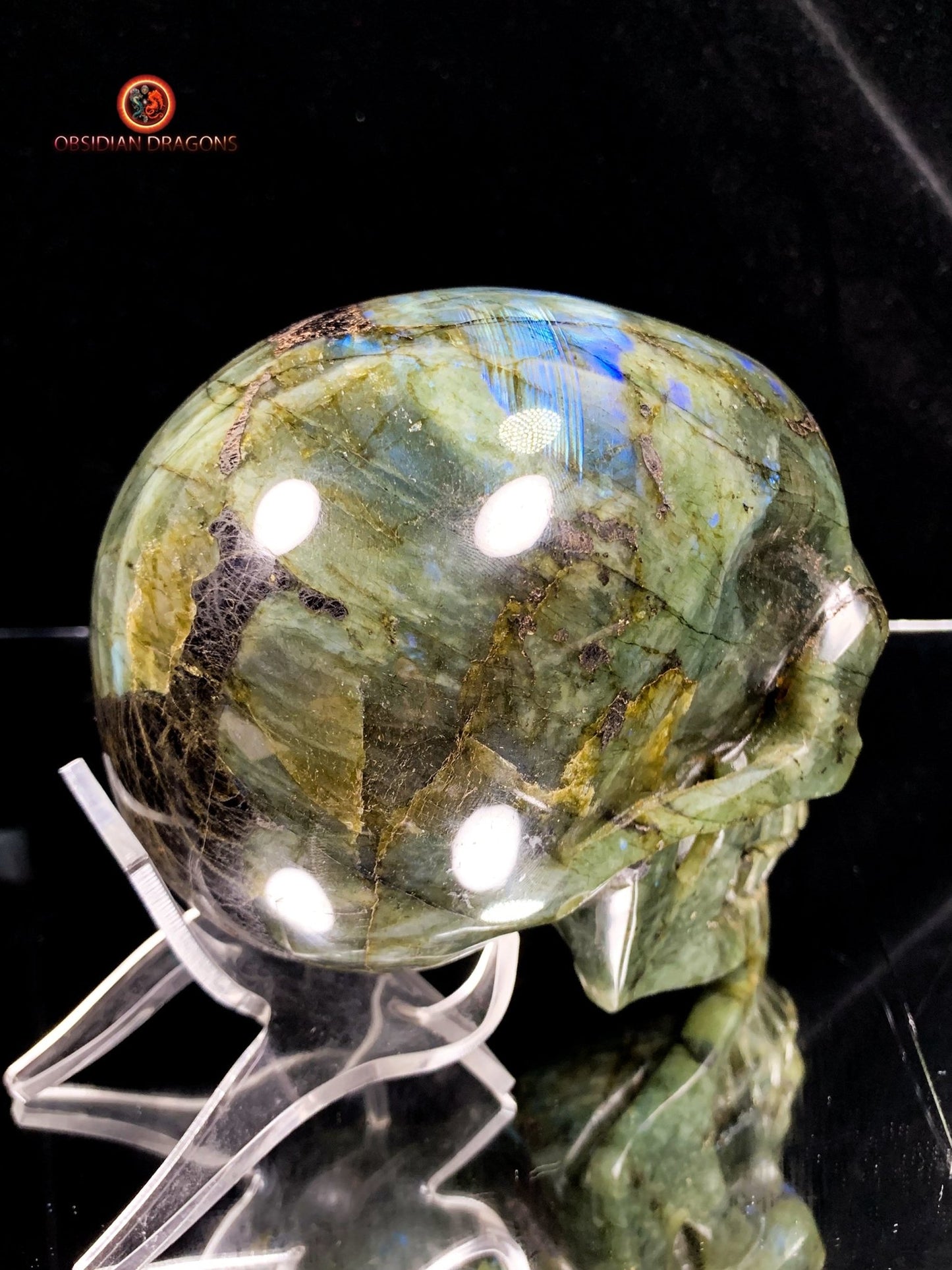 Crâne de Cristal en Labradorite - Unique et Naturel | obsidian dragons