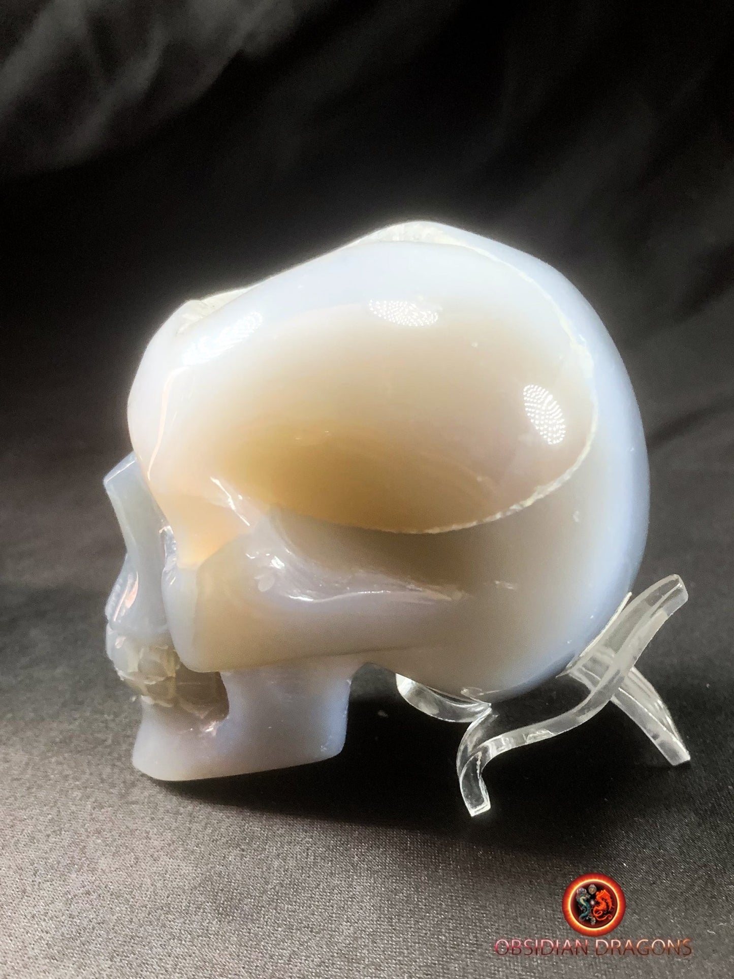 Crâne de cristal dans une géode de quartz- Unique | obsidian dragons