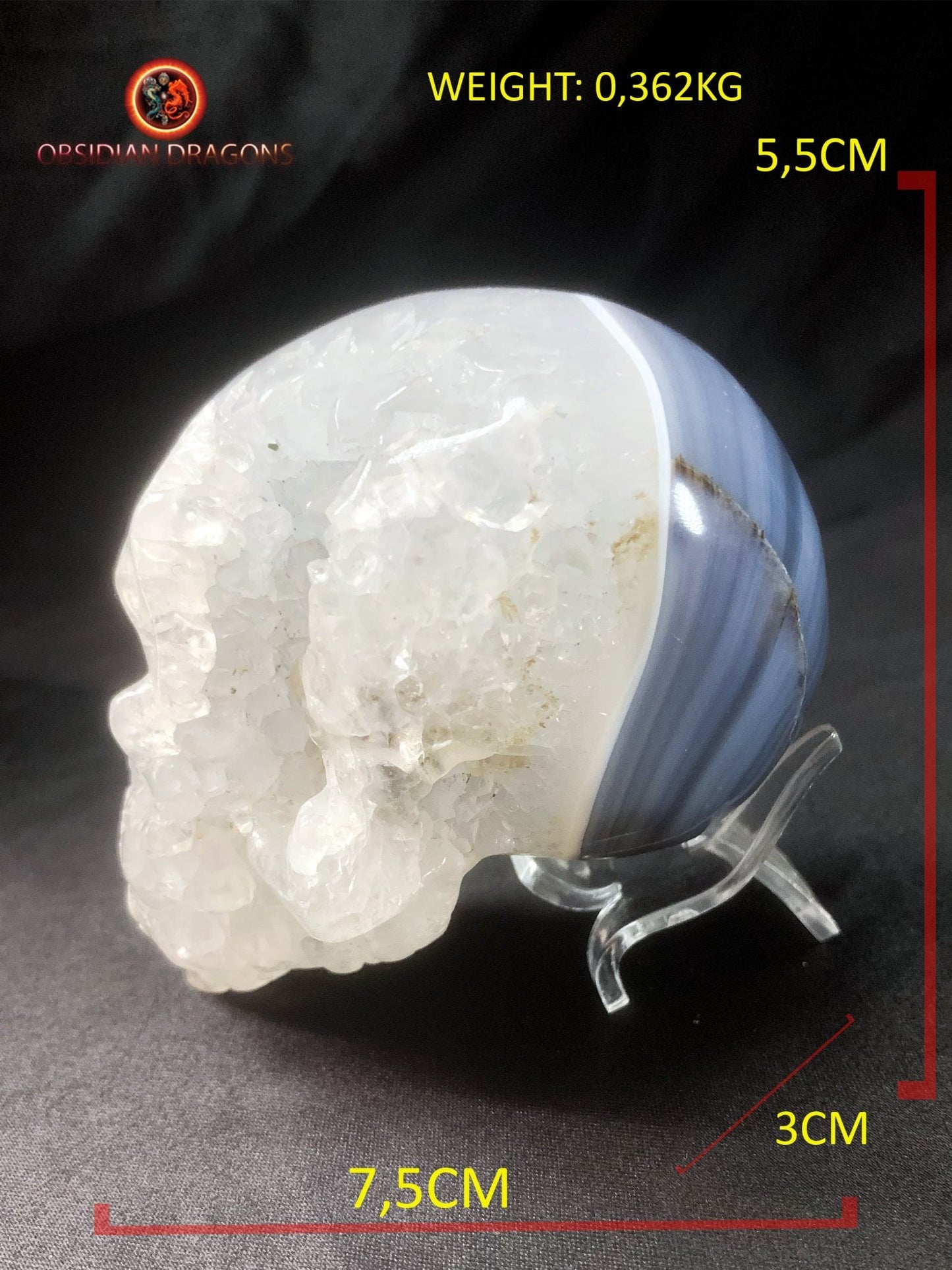 Crâne de cristal dans une géode de quartz- Rare | obsidian dragons