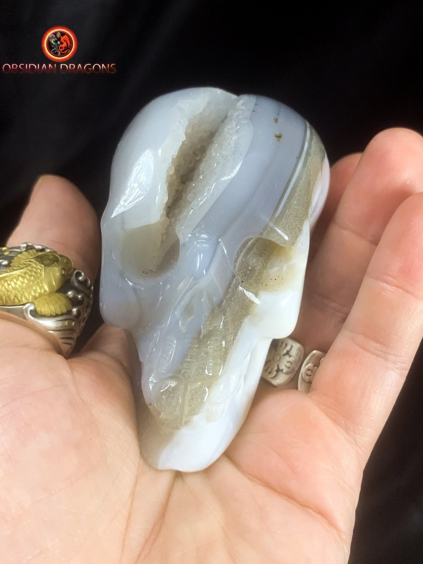 Crâne de cristal unique- Geode de quartz | obsidian dragons