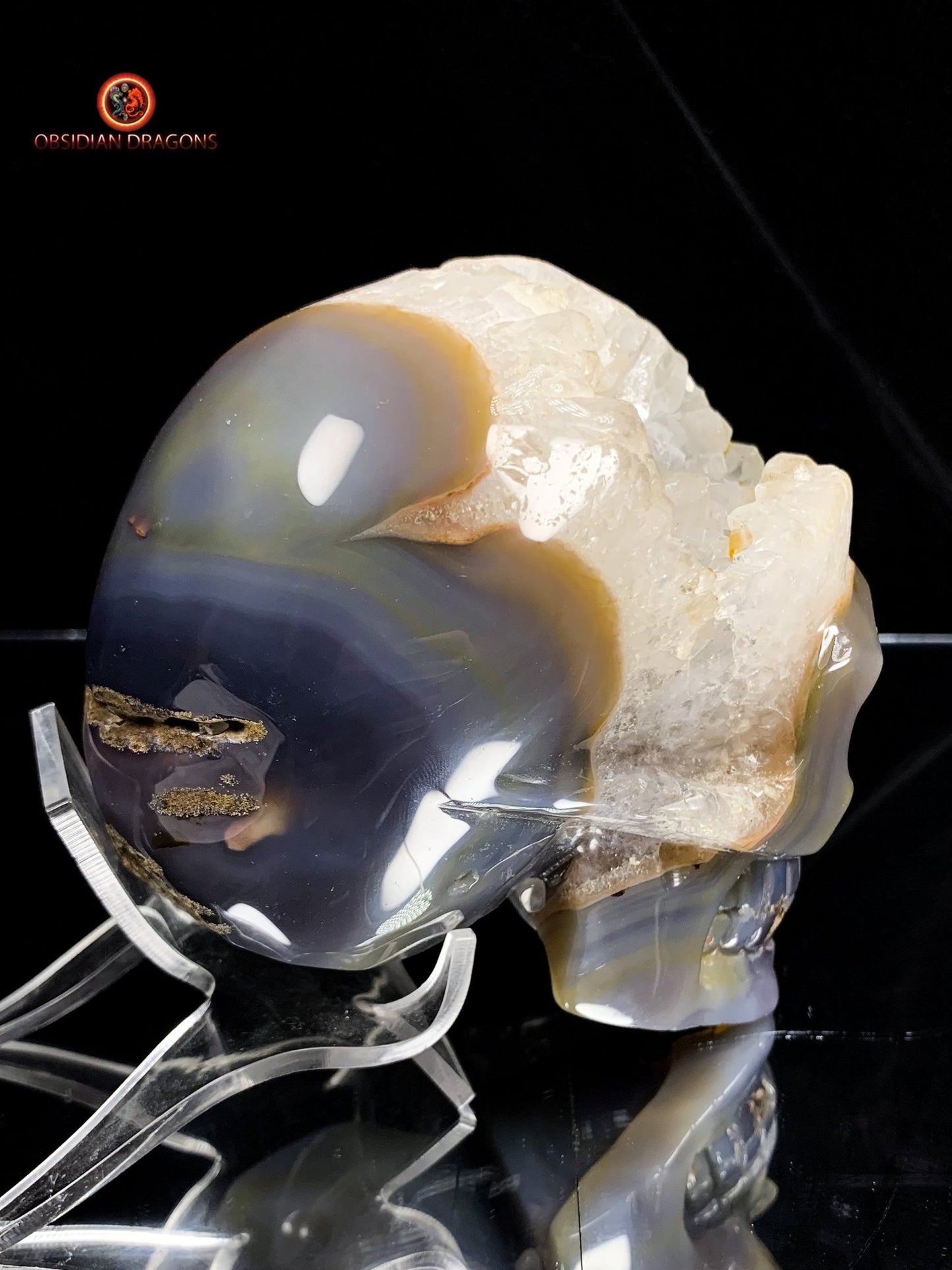 Rare crâne de cristal sculpté dans une géode | obsidian dragons