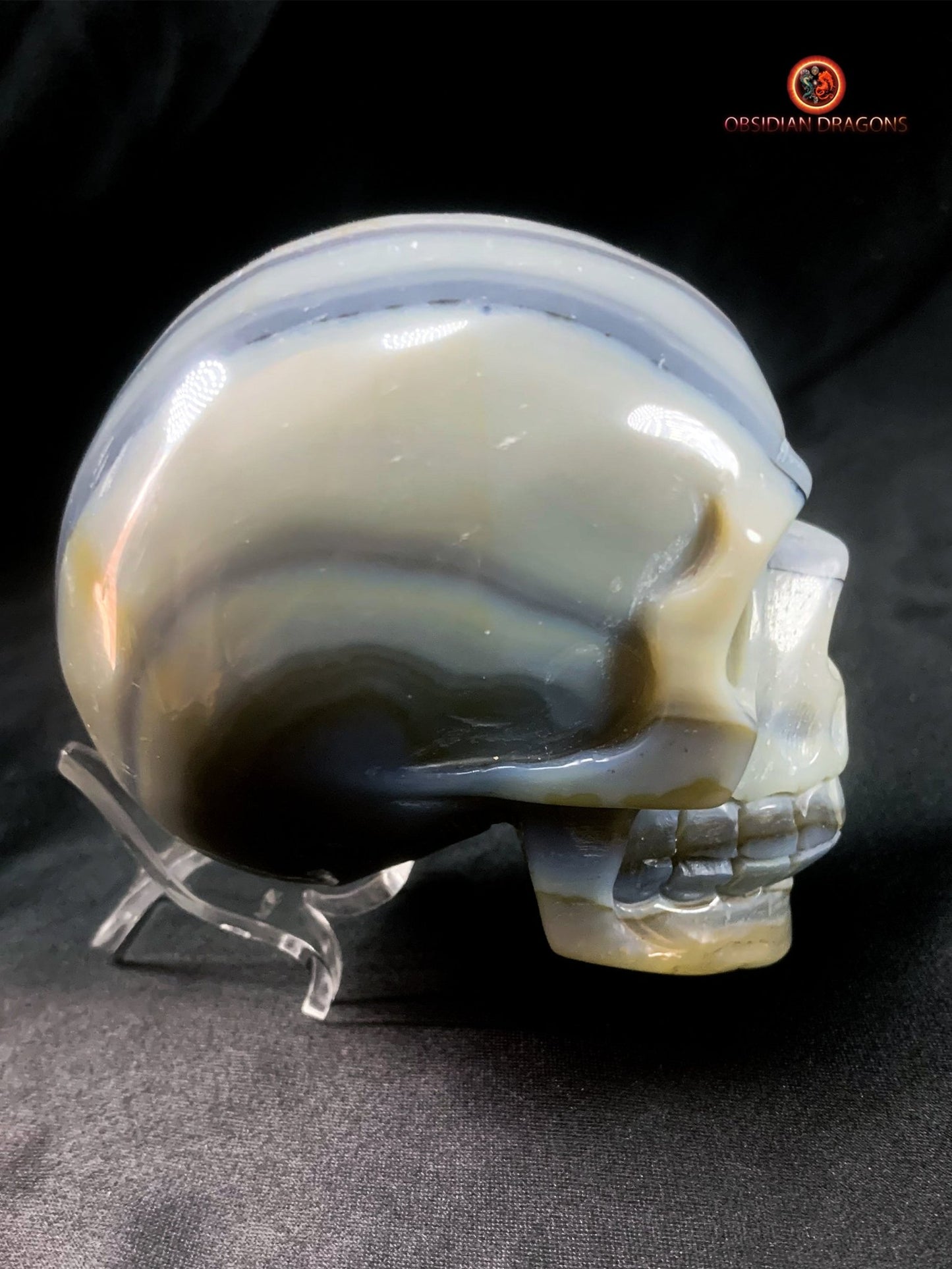Authentique crâne de cristal - géode de quartz | obsidian dragons