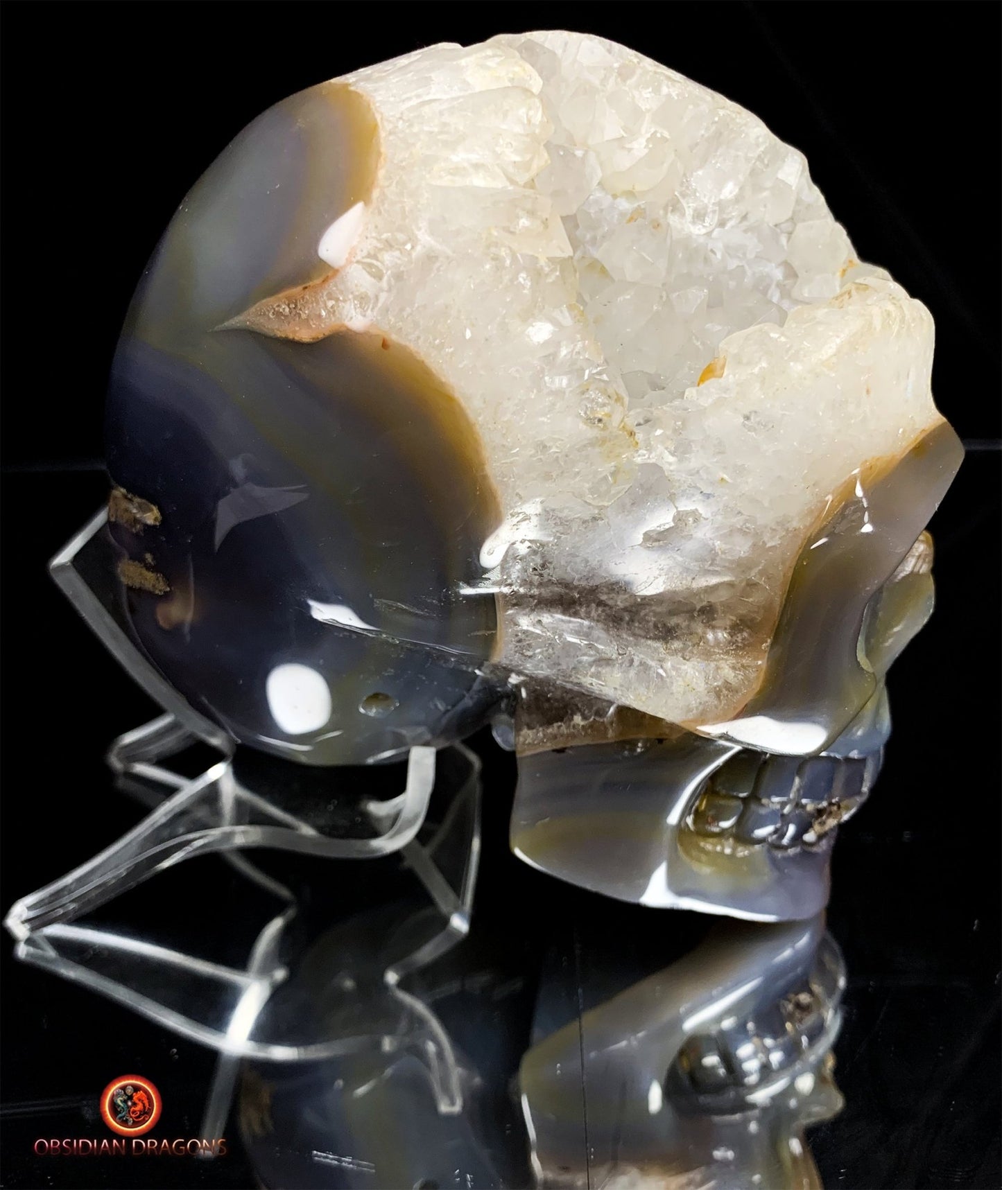 Rare crâne de cristal sculpté dans une géode | obsidian dragons