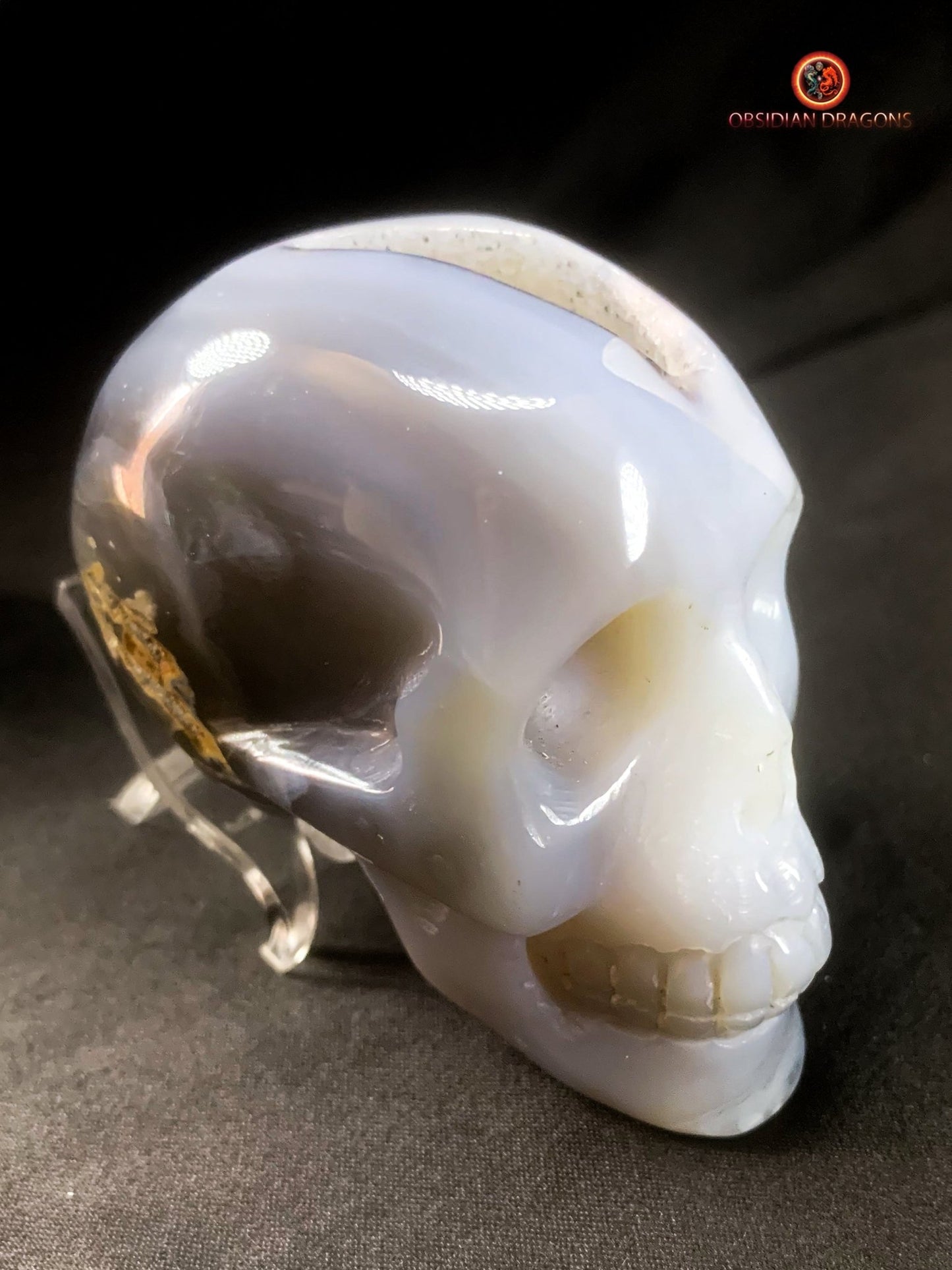 Petit crâne de cristal sculpté dans une géode de quartz | obsidian dragons