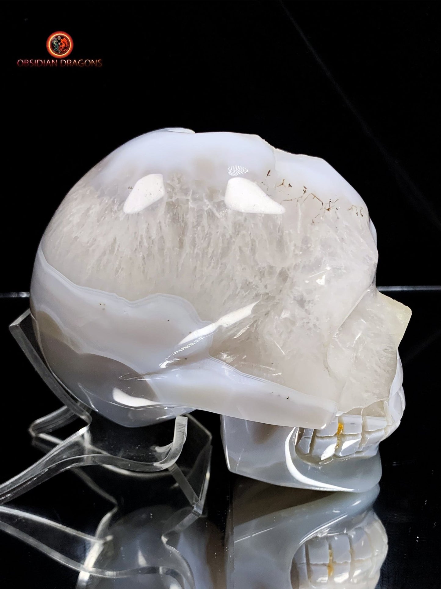 Crâne de cristal sculpté dans une géode de quartz | obsidian dragons