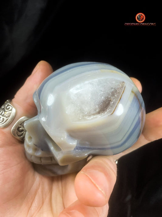 Authentique crâne de cristal - géode de quartz | obsidian dragons