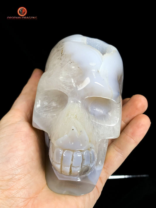 Crâne de cristal sculpté dans une géode de quartz | obsidian dragons