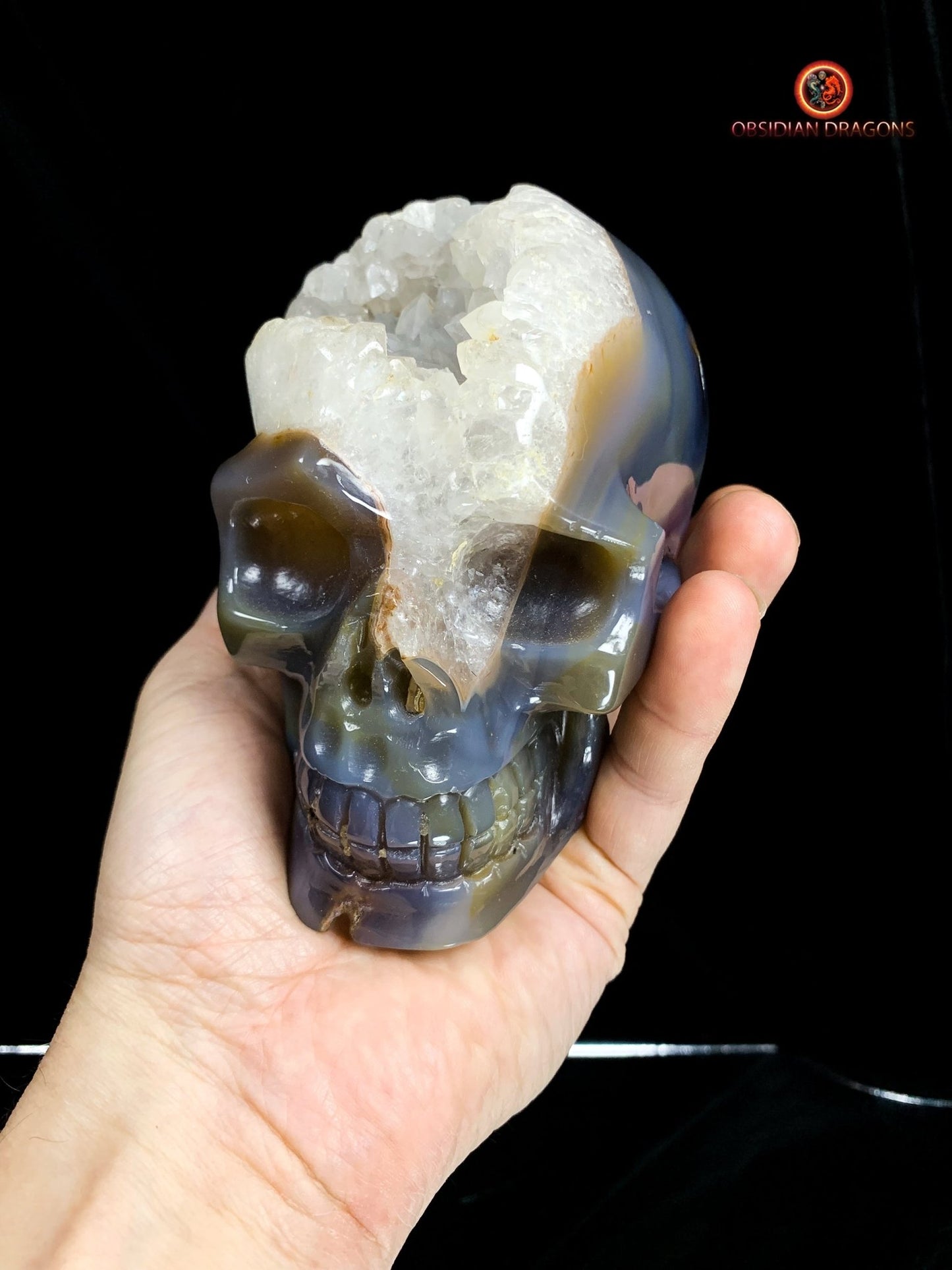 Rare crâne de cristal sculpté dans une géode | obsidian dragons