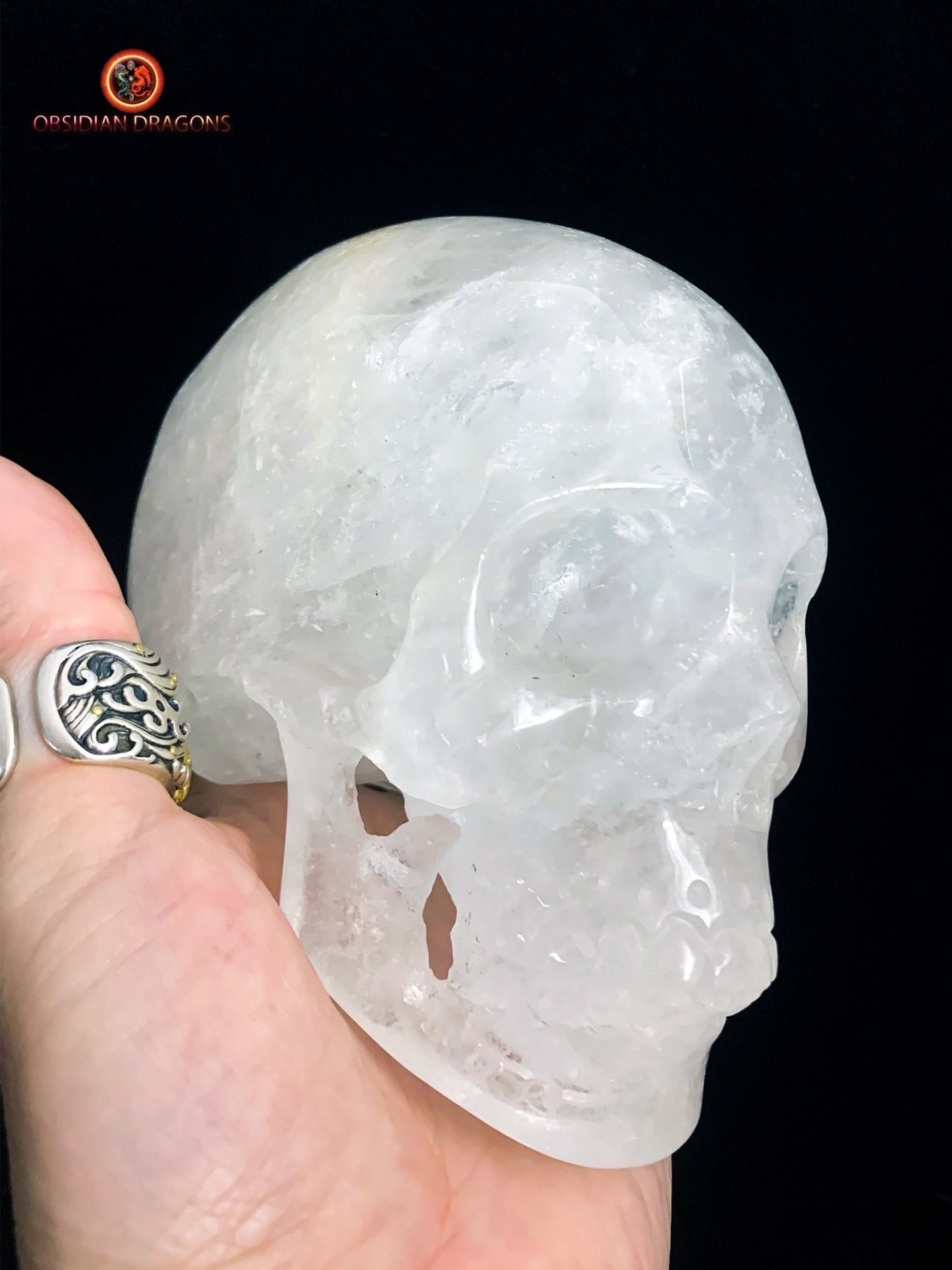 Grand crâne de cristal en cristal de roche himalayen | obsidian dragons