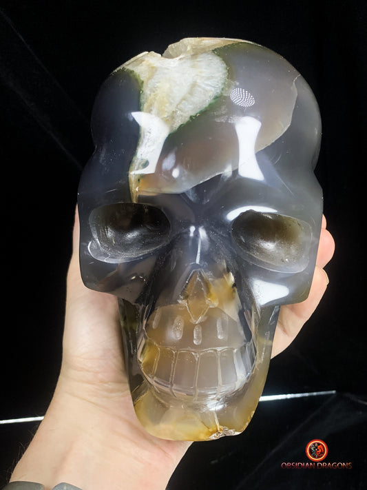 Grand crâne de cristal- Géode de quartz | obsidian dragons
