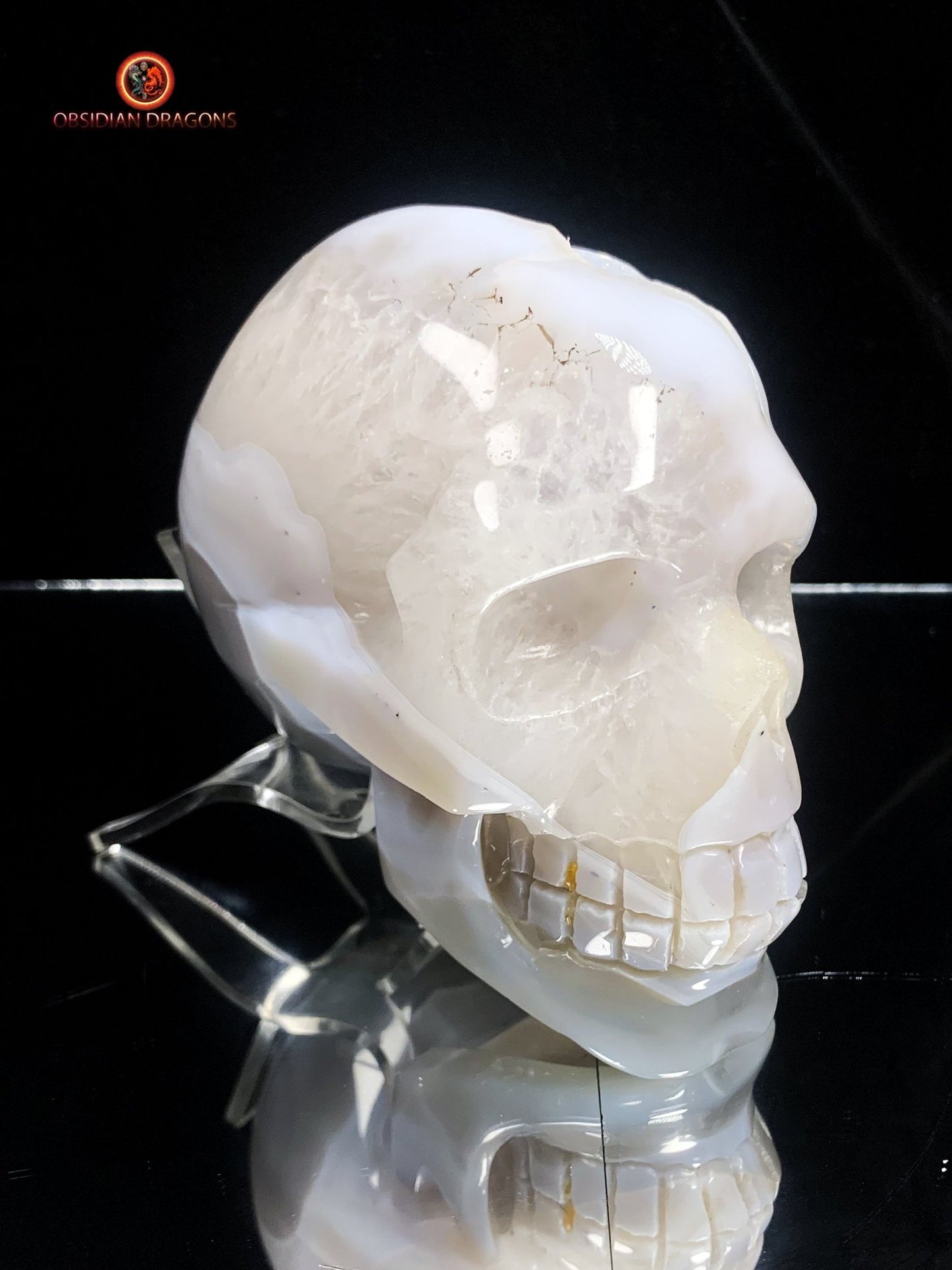 Crâne de cristal sculpté dans une géode de quartz | obsidian dragons