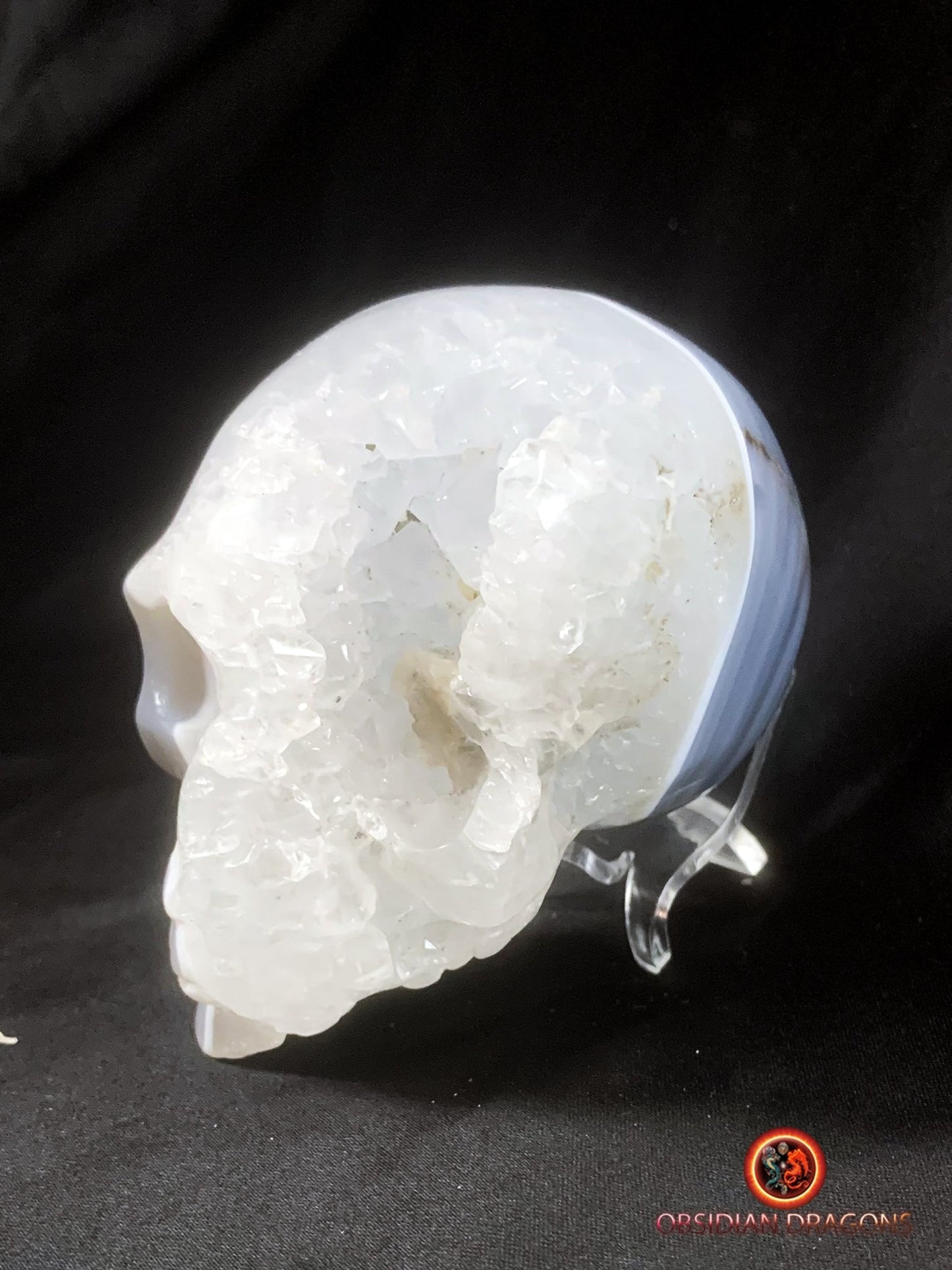 Crâne de cristal dans une géode de quartz- Rare | obsidian dragons