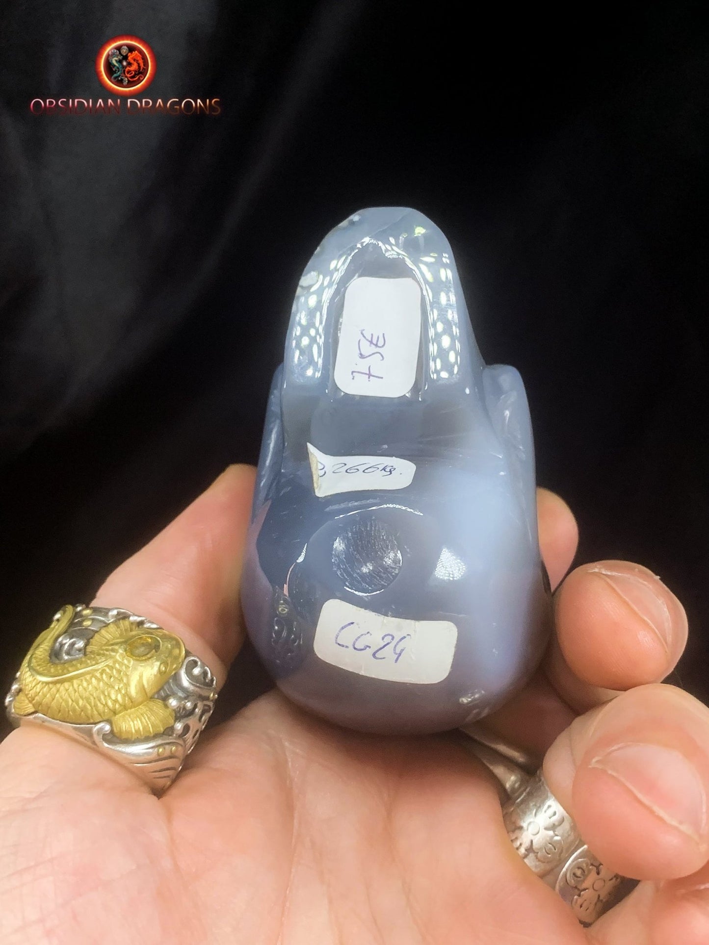 Crâne de cristal dans une géode de quartz- Unique | obsidian dragons