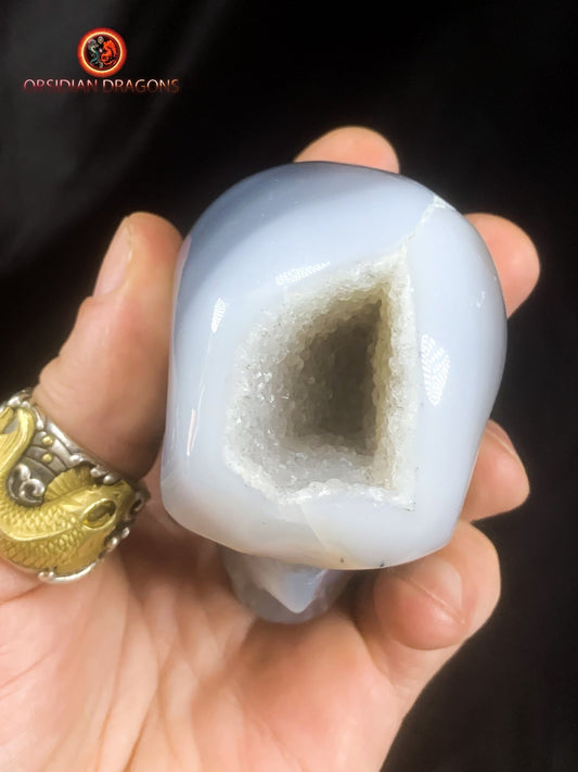 Crâne de cristal dans une géode de quartz- Unique | obsidian dragons