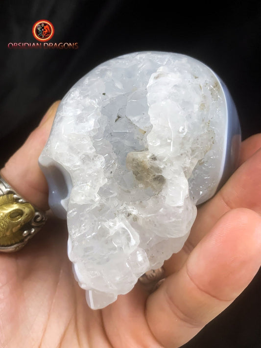 Crâne de cristal dans une géode de quartz- Rare | obsidian dragons
