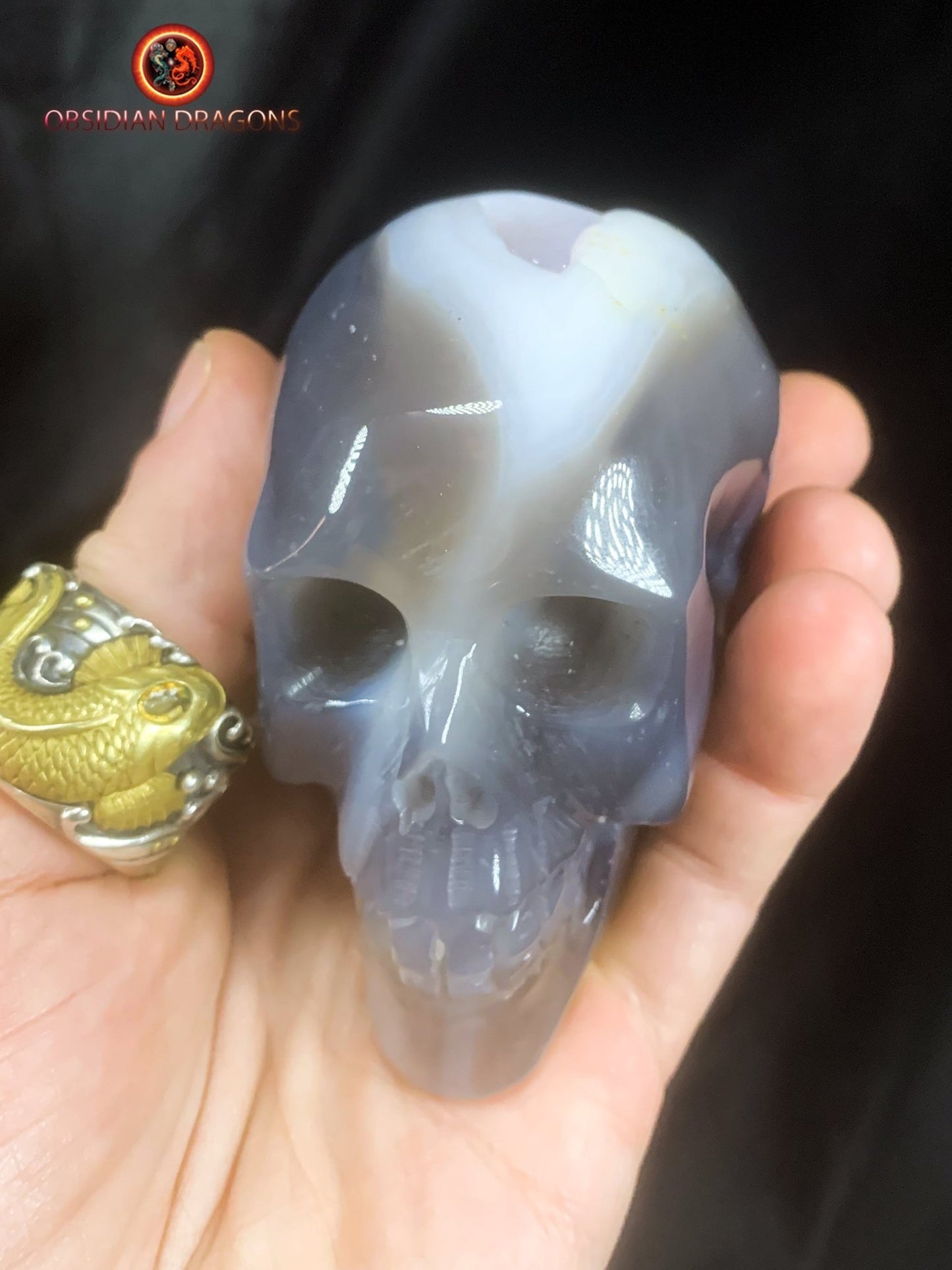 Crâne de cristal- Géode d'améthyste- Unique | obsidian dragons