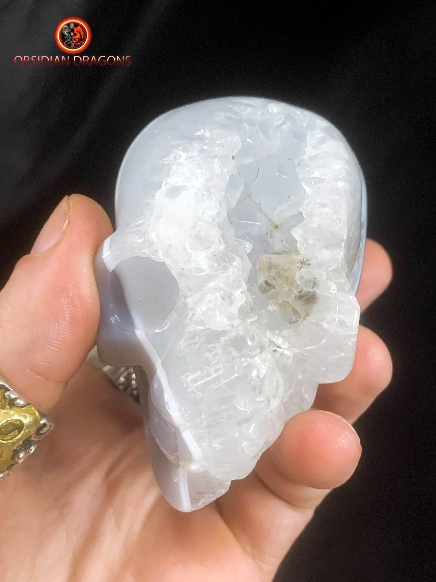 Crâne de cristal dans une géode de quartz- Rare | obsidian dragons
