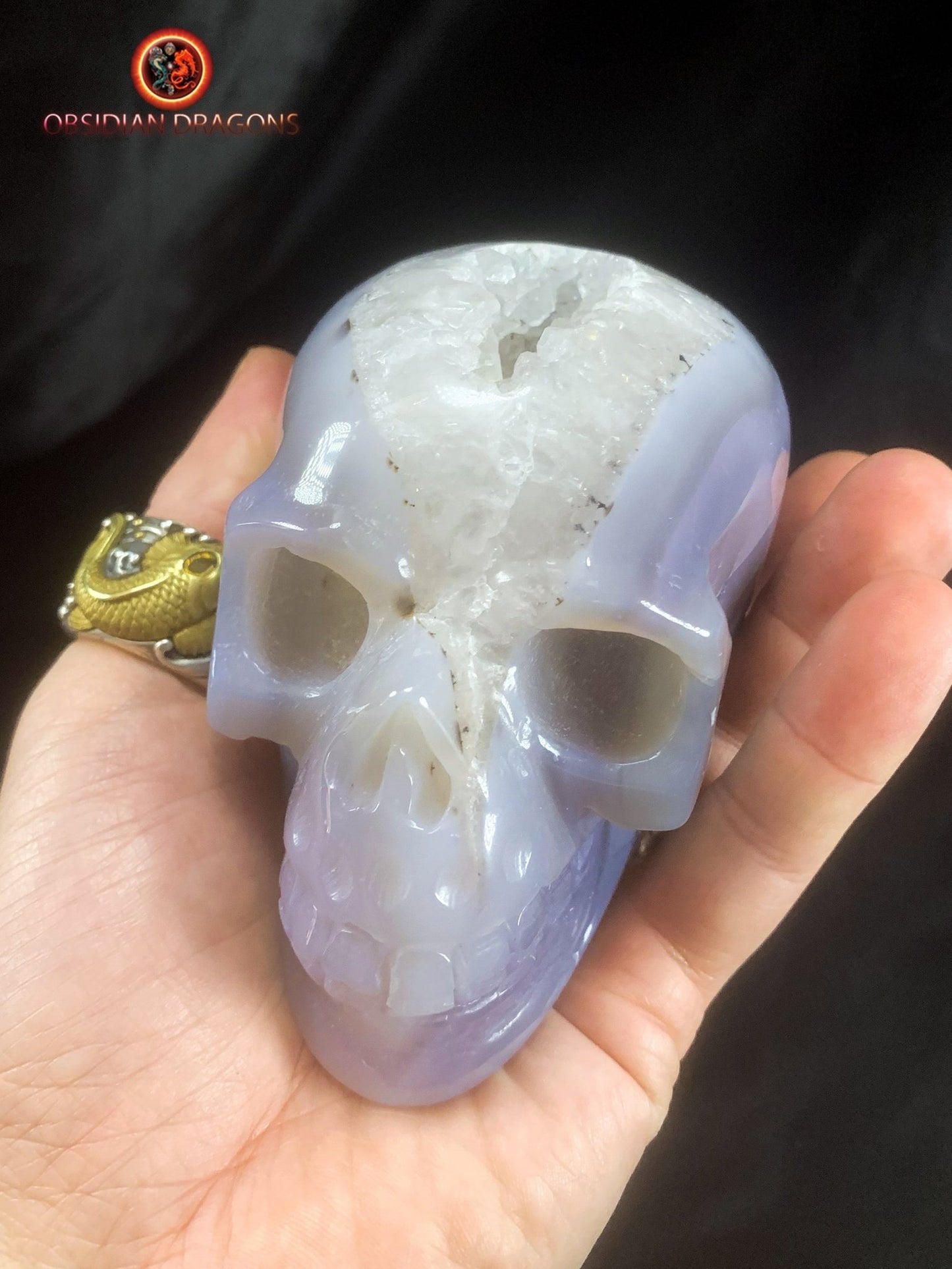 Crâne de cristal- Géode de quartz- Unique | obsidian dragons
