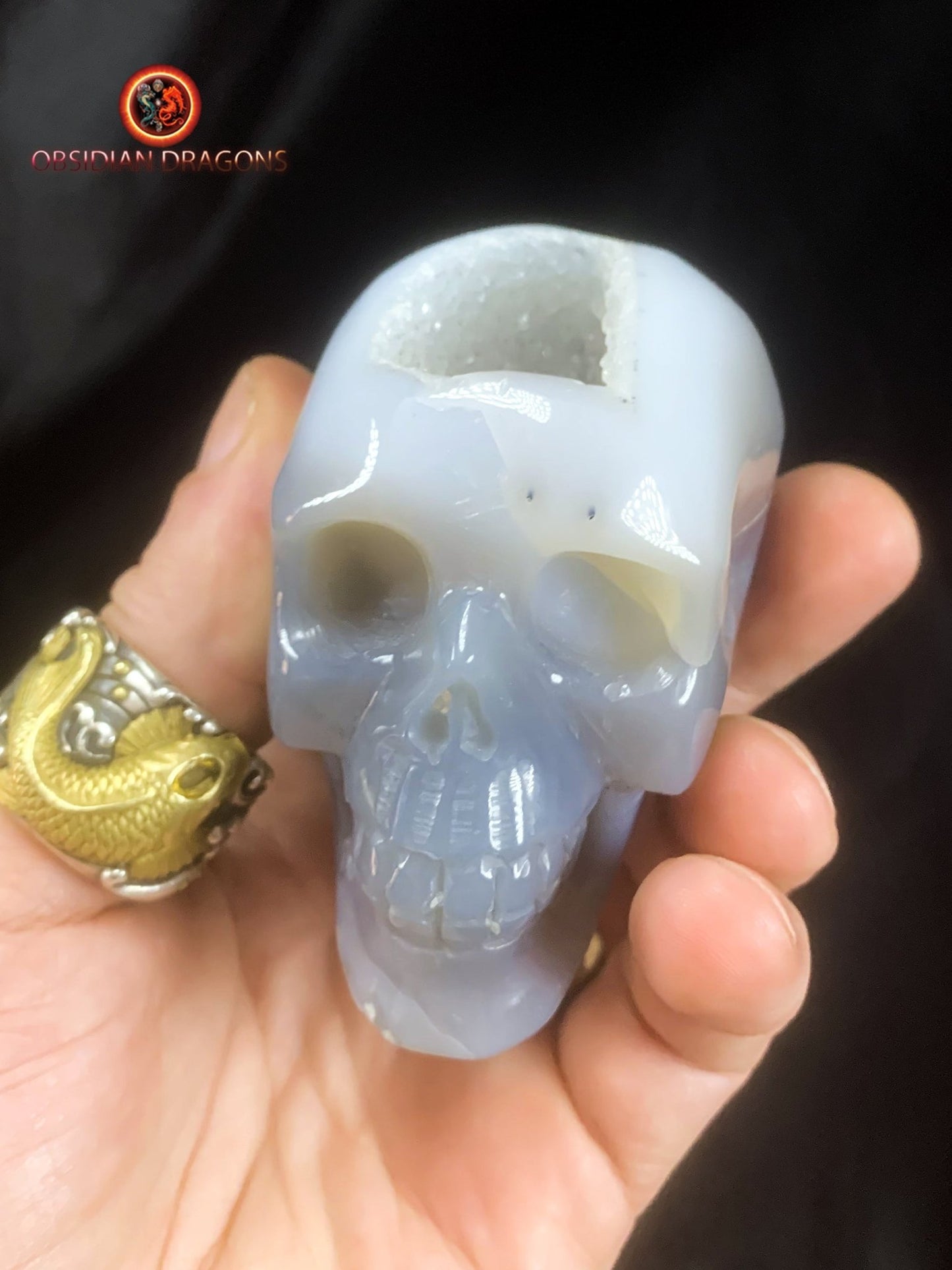 Crâne de cristal dans une géode de quartz- Unique | obsidian dragons