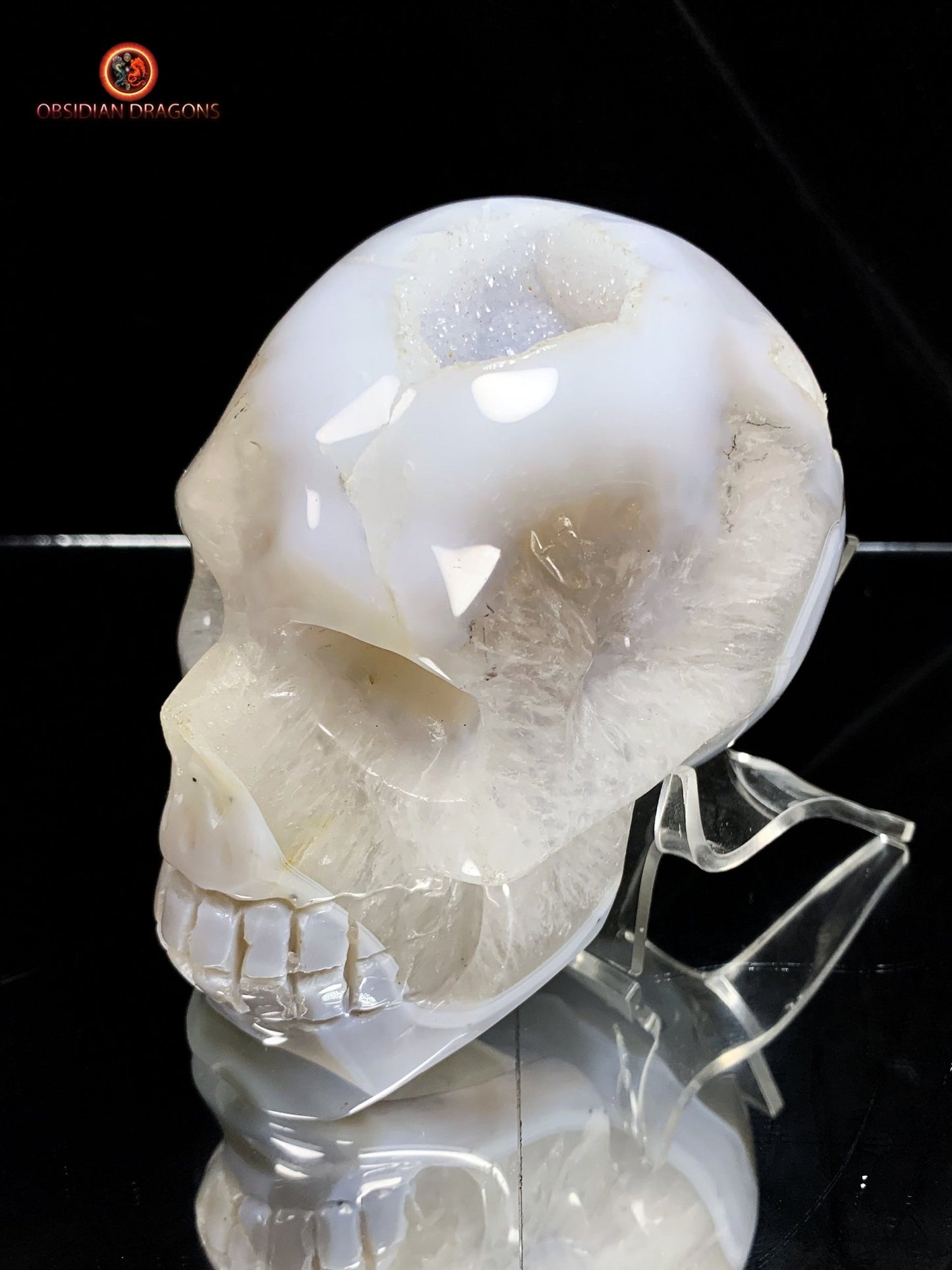 Crâne de cristal sculpté dans une géode de quartz | obsidian dragons